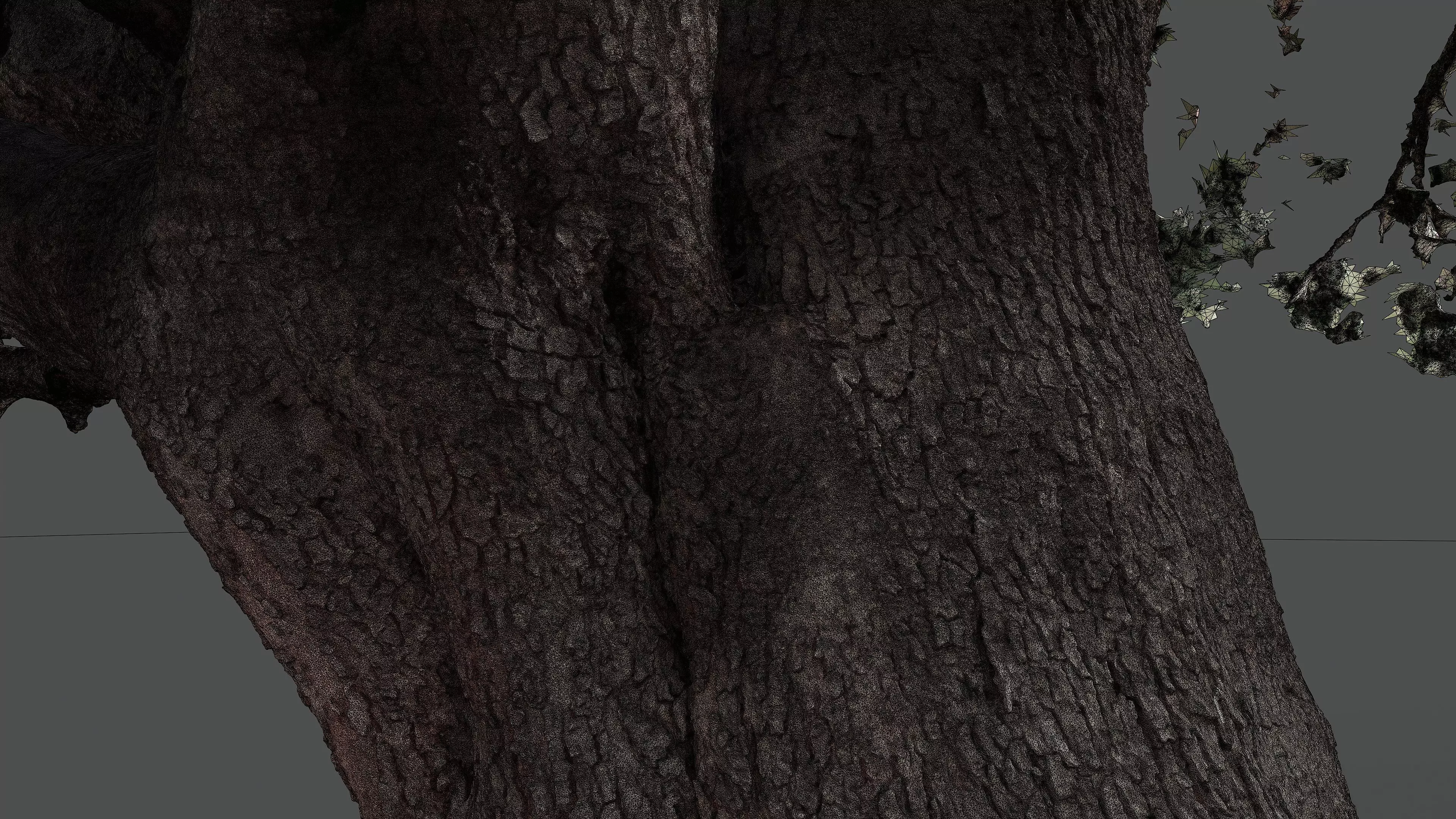 Abandoned Village Tree Trunk Scan - Tree 01 3D model_18