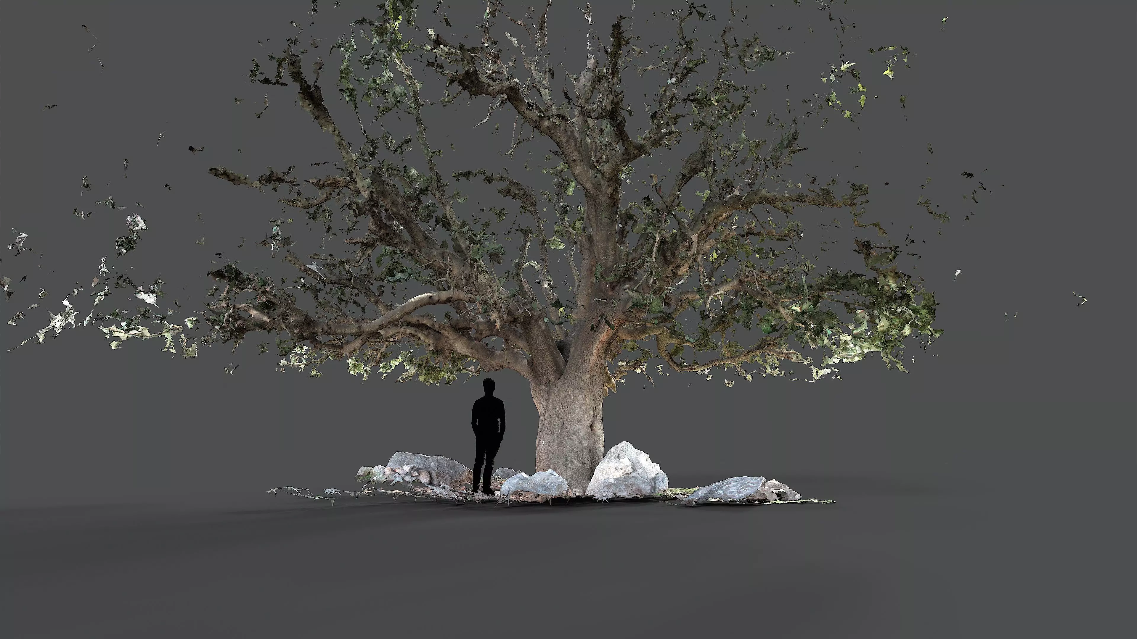 Abandoned Village Tree Trunk Scan - Tree 01 3D model_15