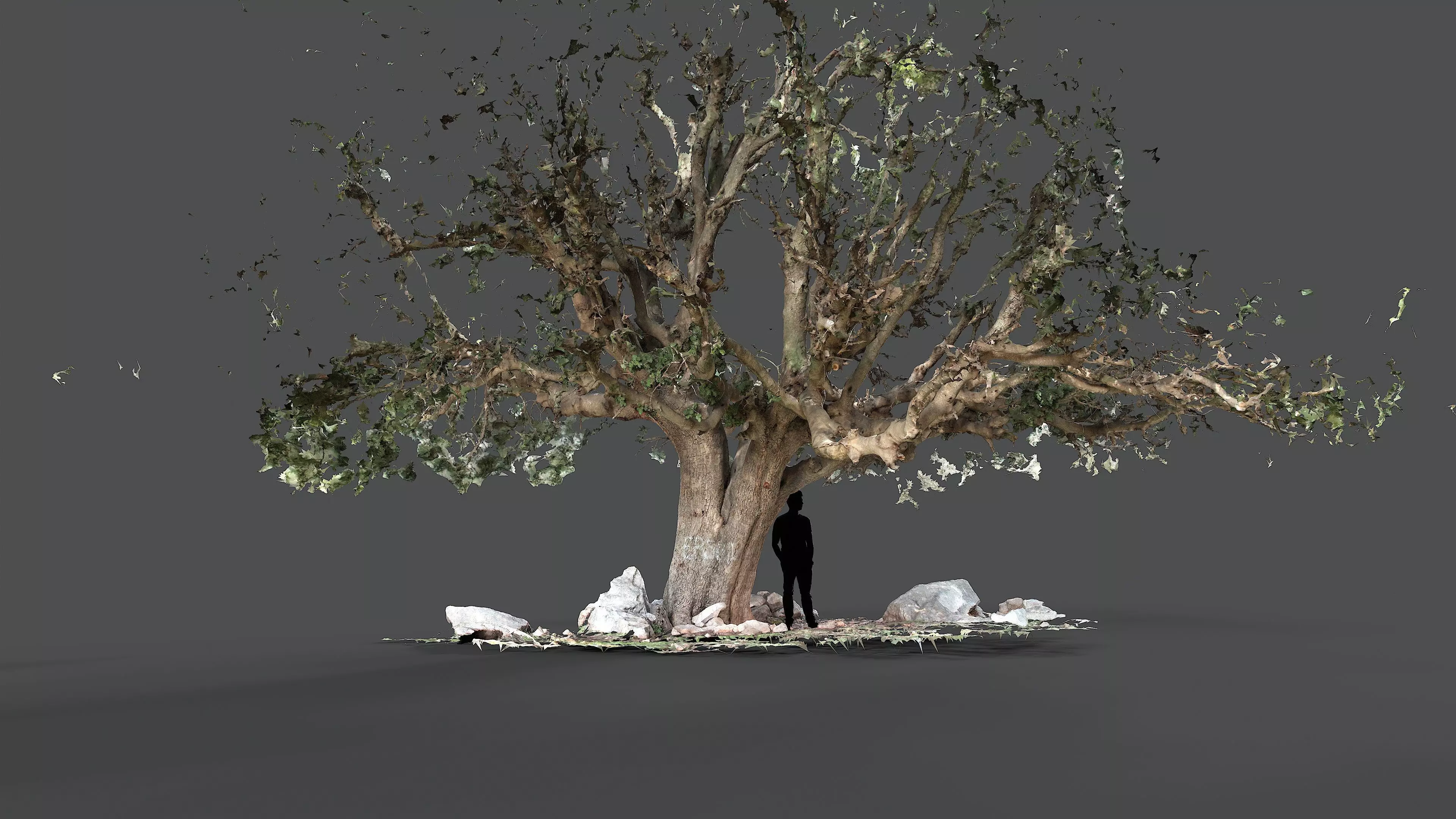 Abandoned Village Tree Trunk Scan - Tree 01 3D model_11