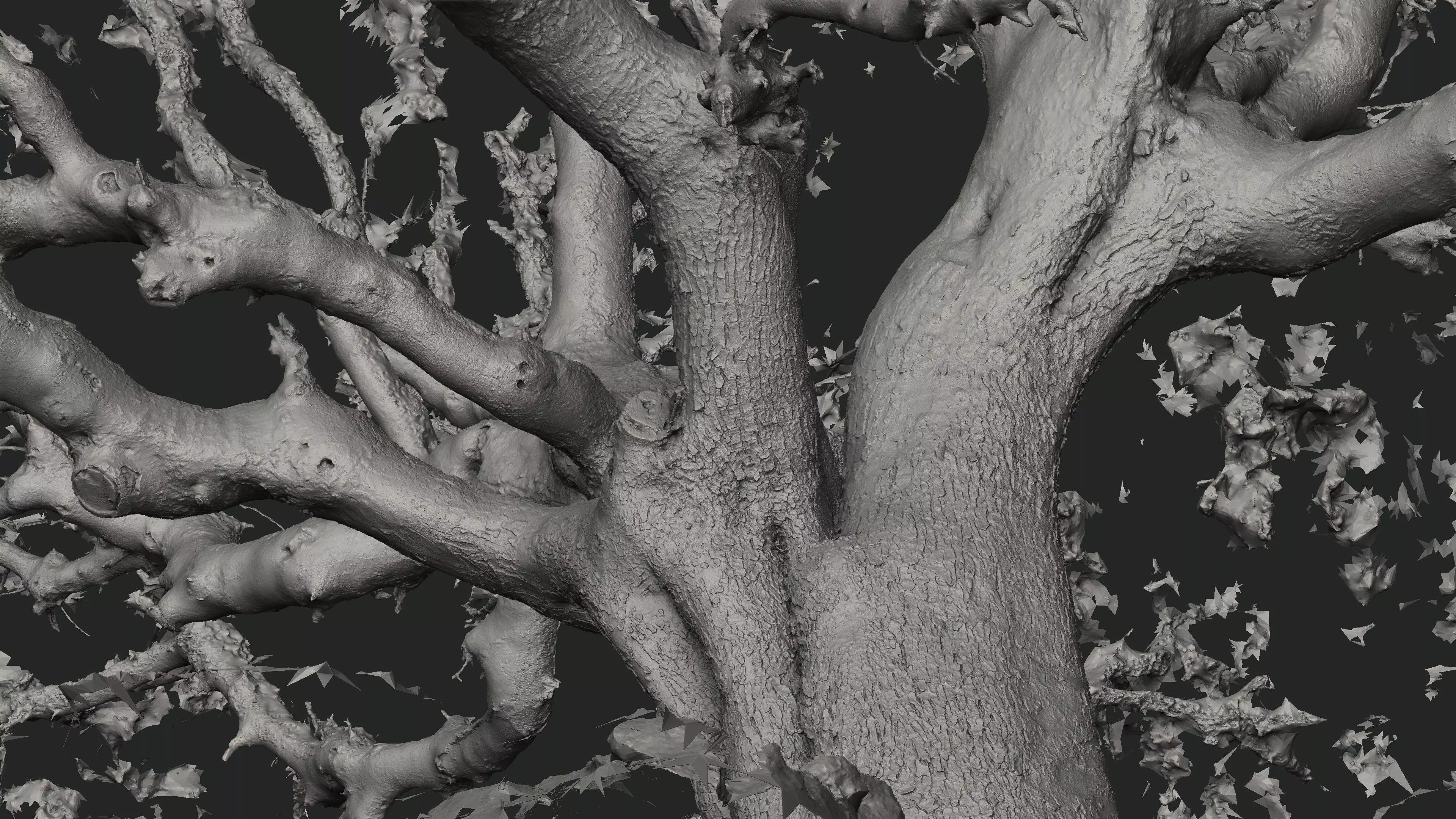 Abandoned Village Tree Trunk Scan - Tree 01 3D model_20