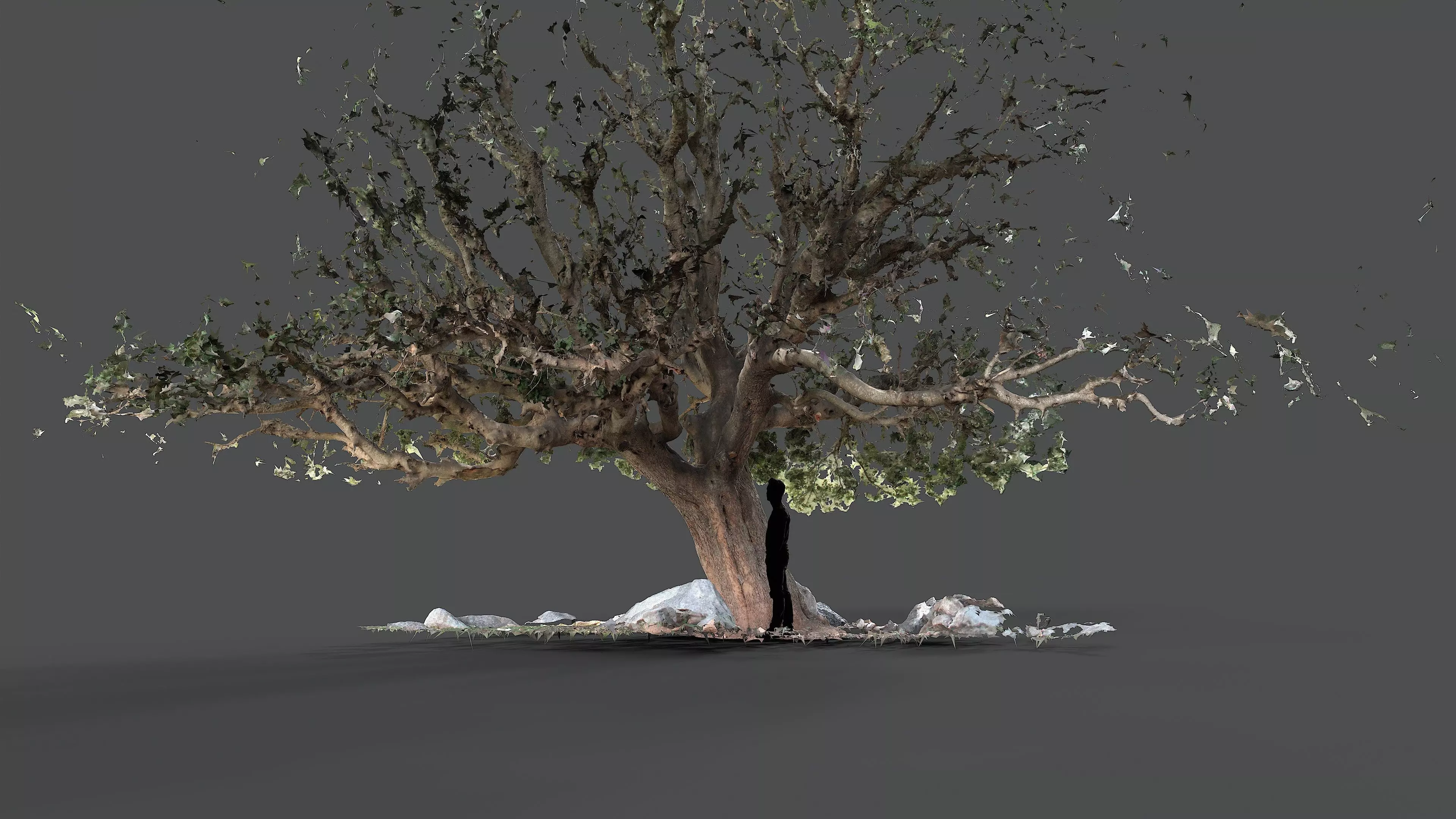 Abandoned Village Tree Trunk Scan - Tree 01 3D model_8