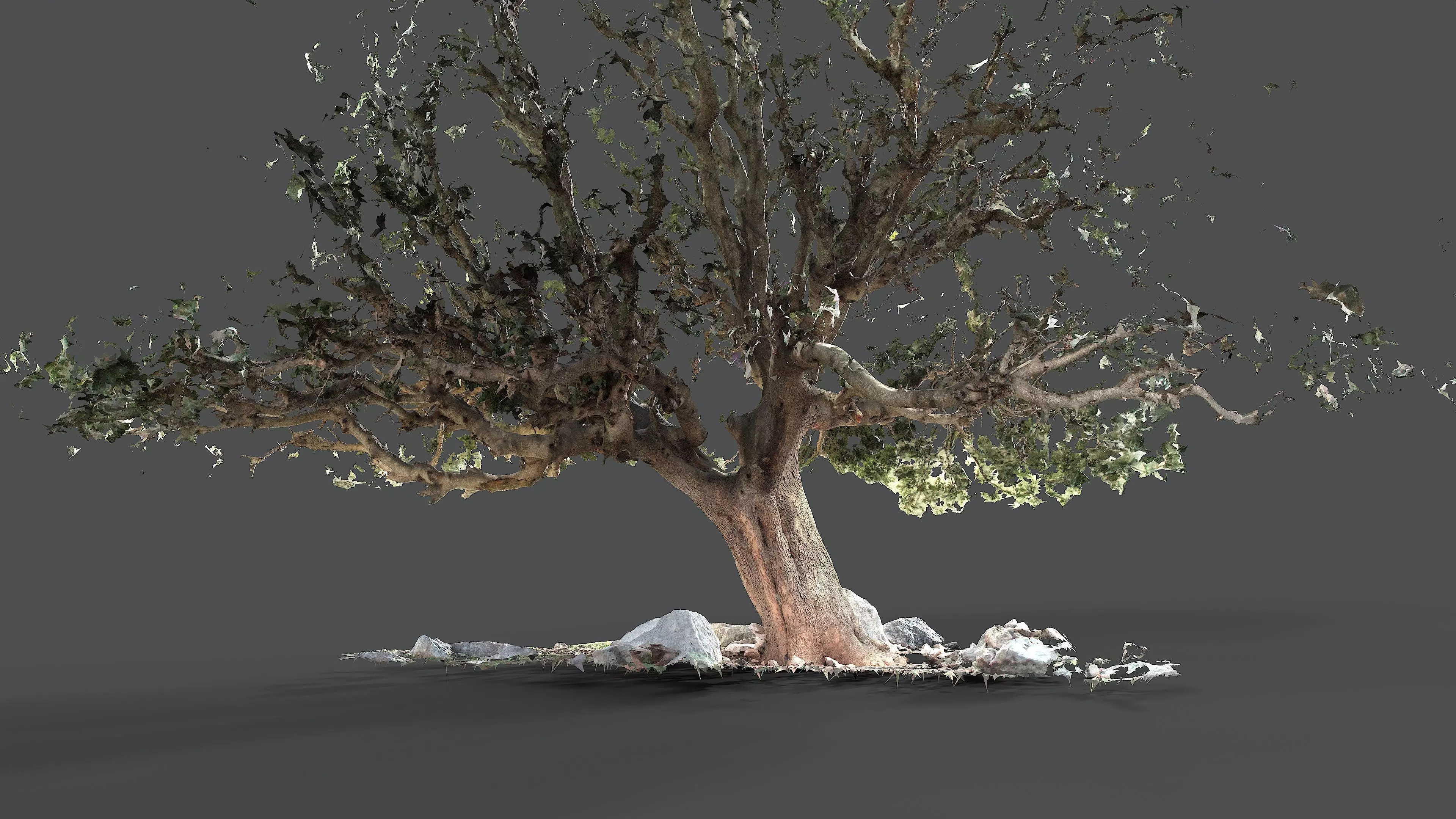 Abandoned Village Tree Trunk Scan - Tree 01 3D model_3