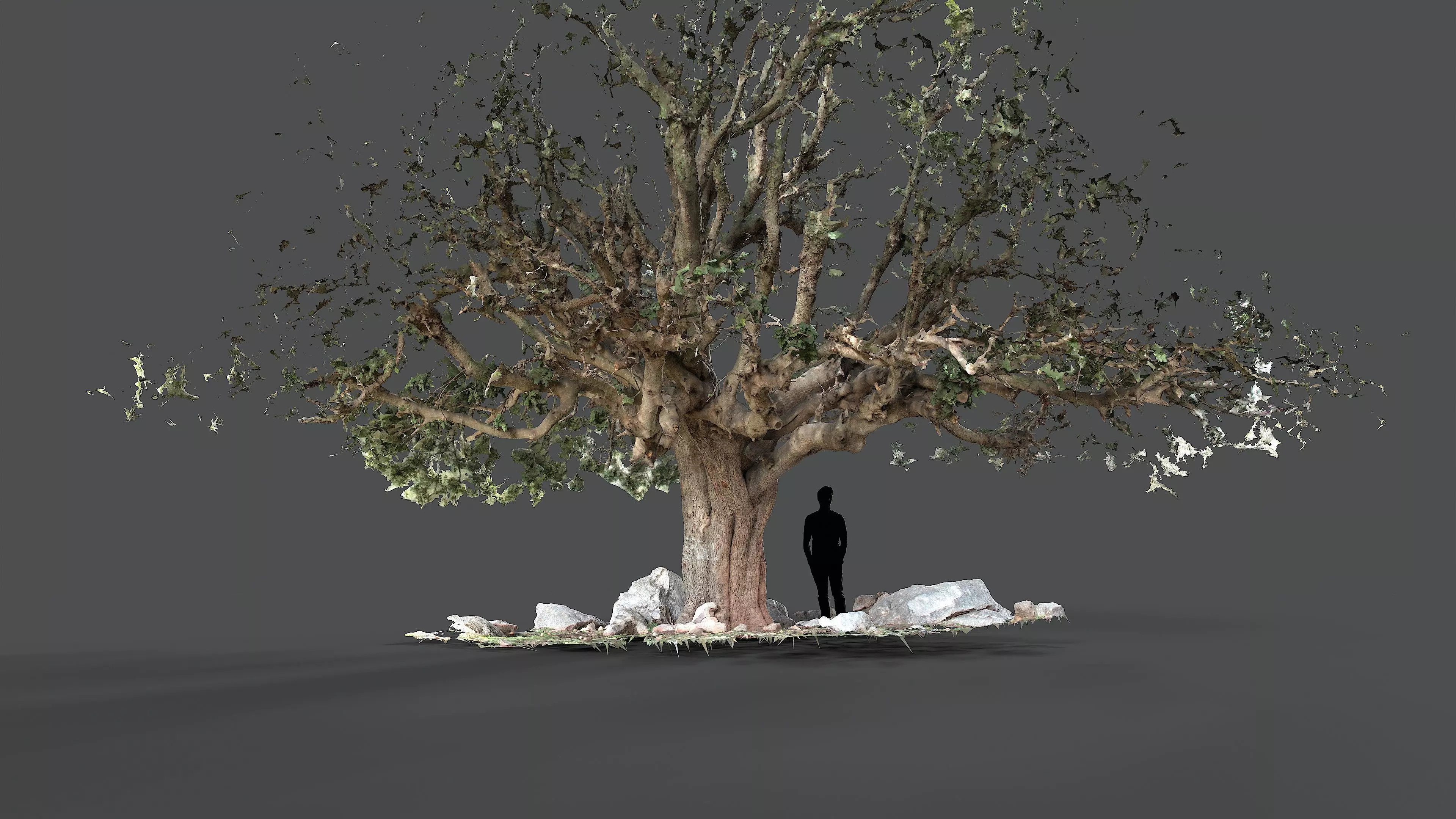Abandoned Village Tree Trunk Scan - Tree 01 3D model_10