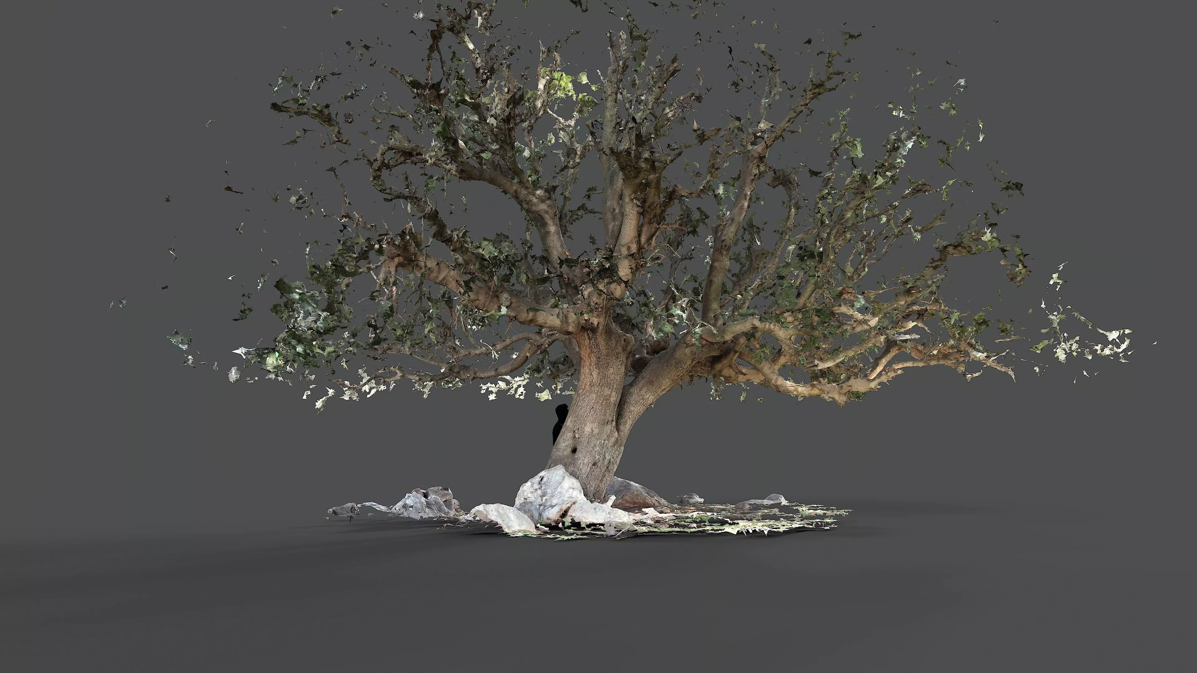 Abandoned Village Tree Trunk Scan - Tree 01 3D model_13