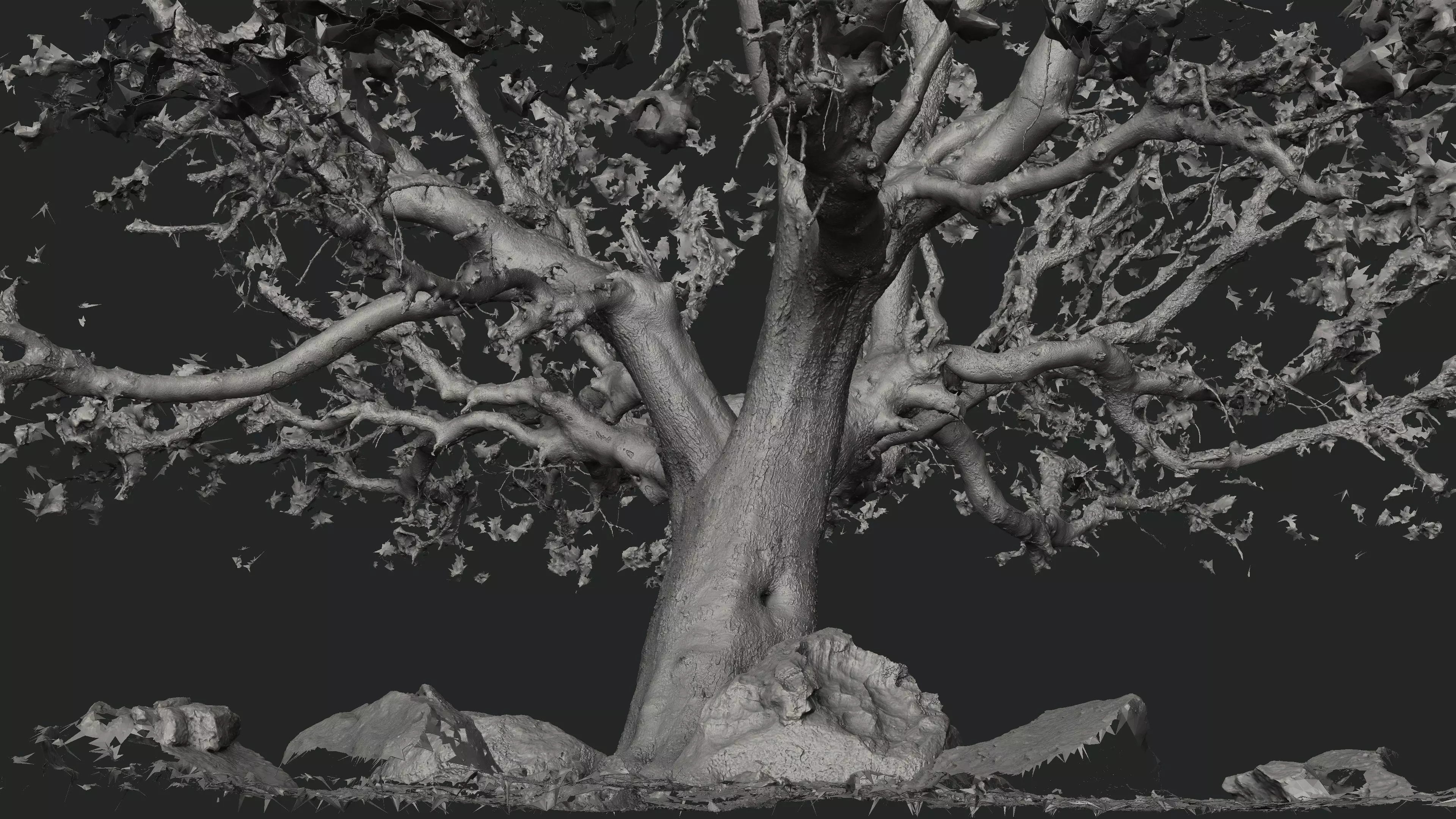 Abandoned Village Tree Trunk Scan - Tree 01 3D model_19