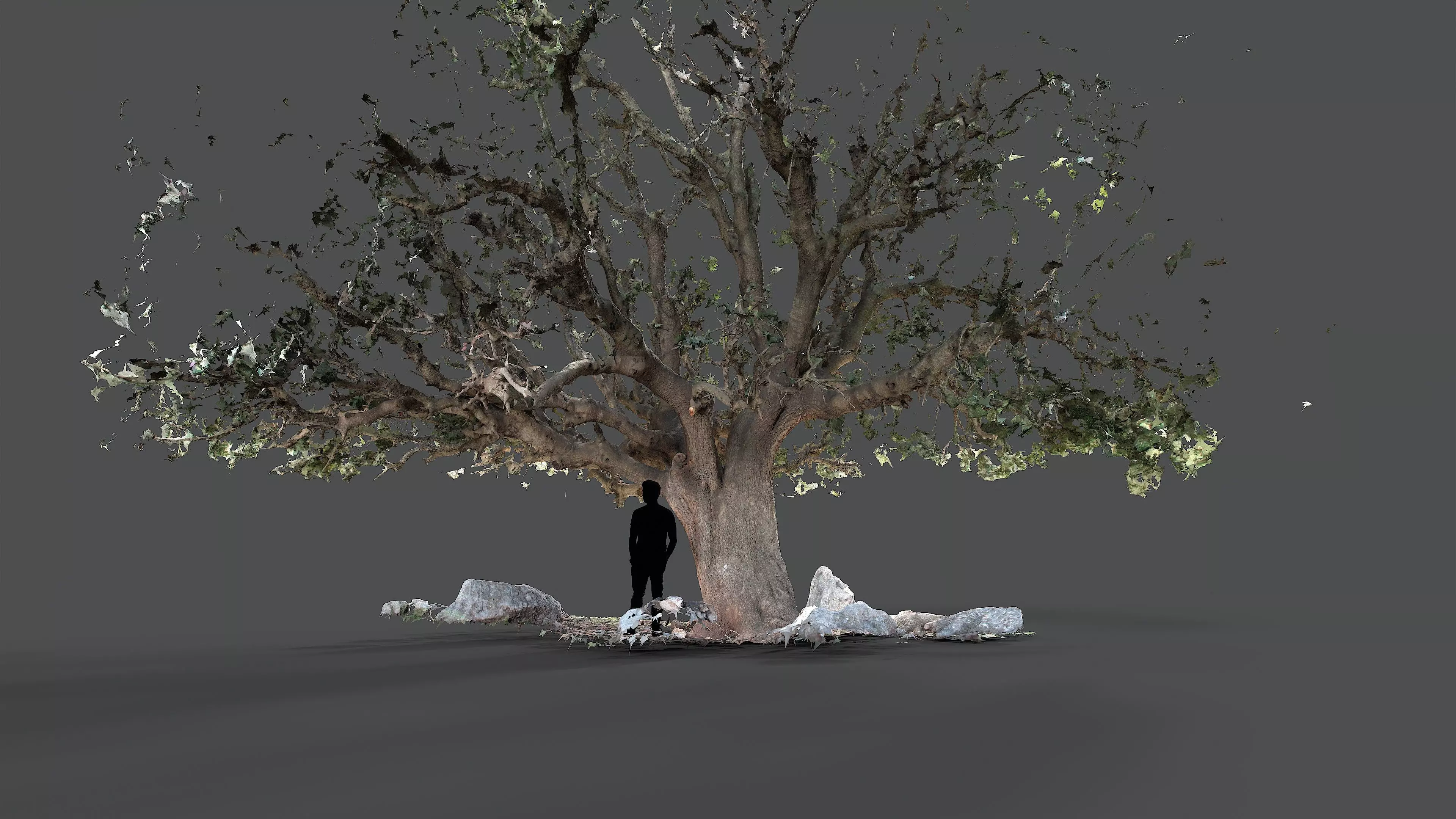 Abandoned Village Tree Trunk Scan - Tree 01 3D model_16
