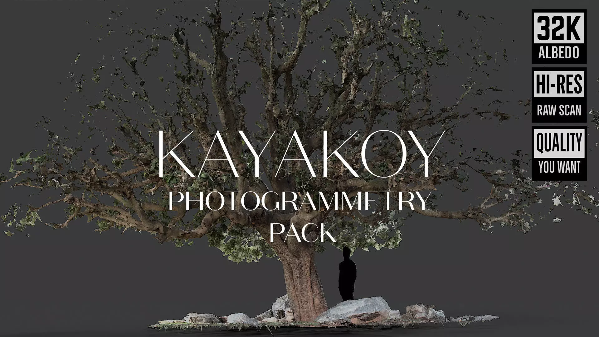 Abandoned Village Tree Trunk Scan - Tree 01 3D model_0