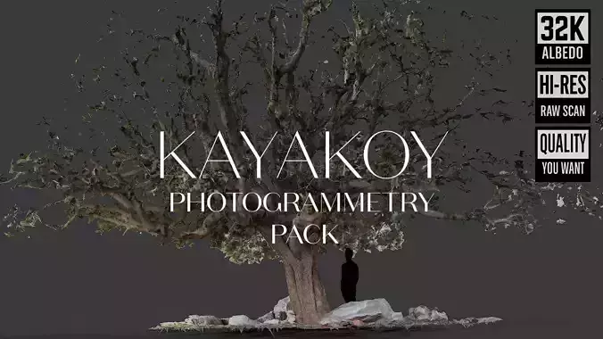 Abandoned Village Tree Trunk Scan - Tree 01