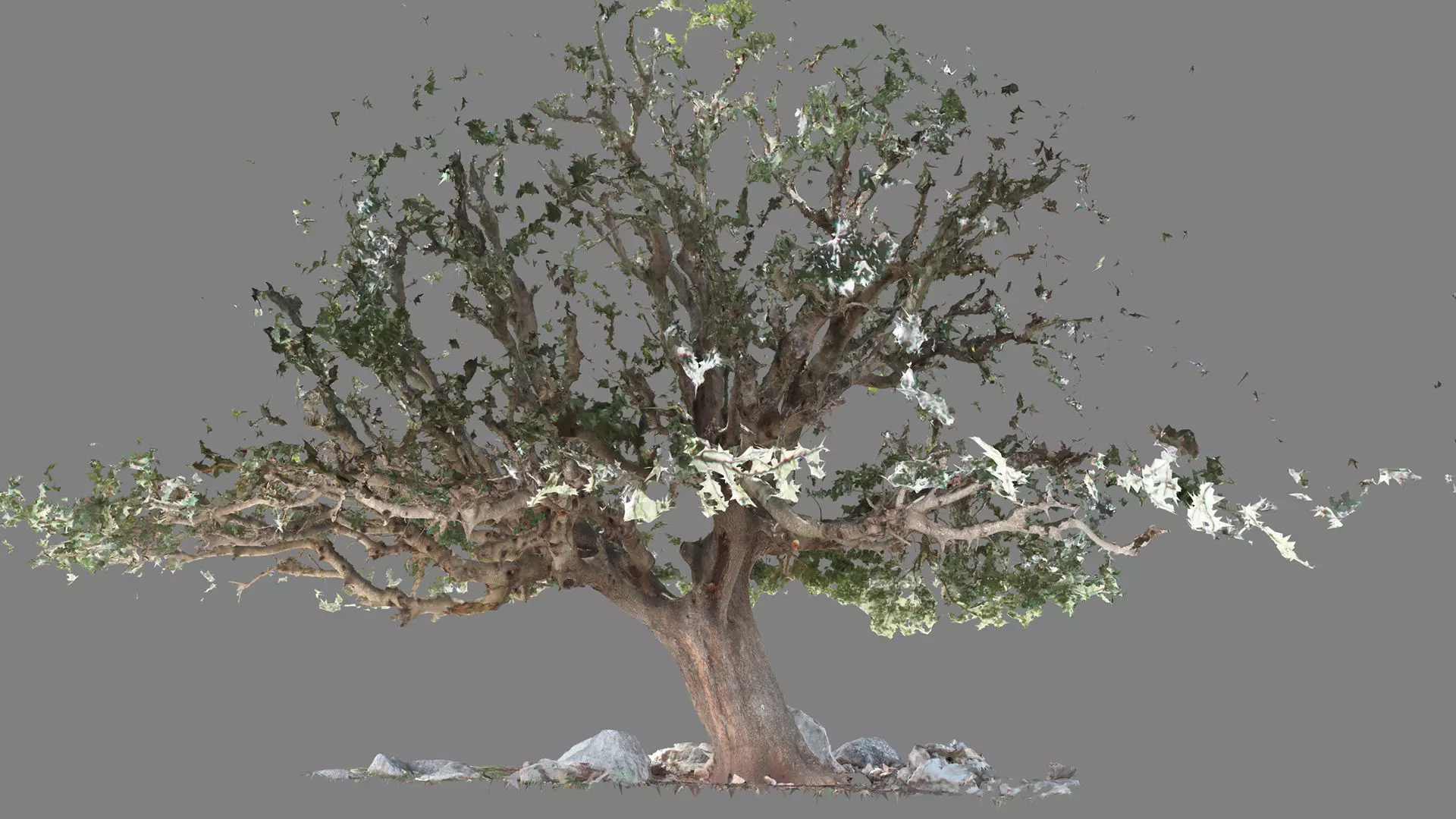 Abandoned Village Tree Trunk Scan - Tree 01 3D model_22