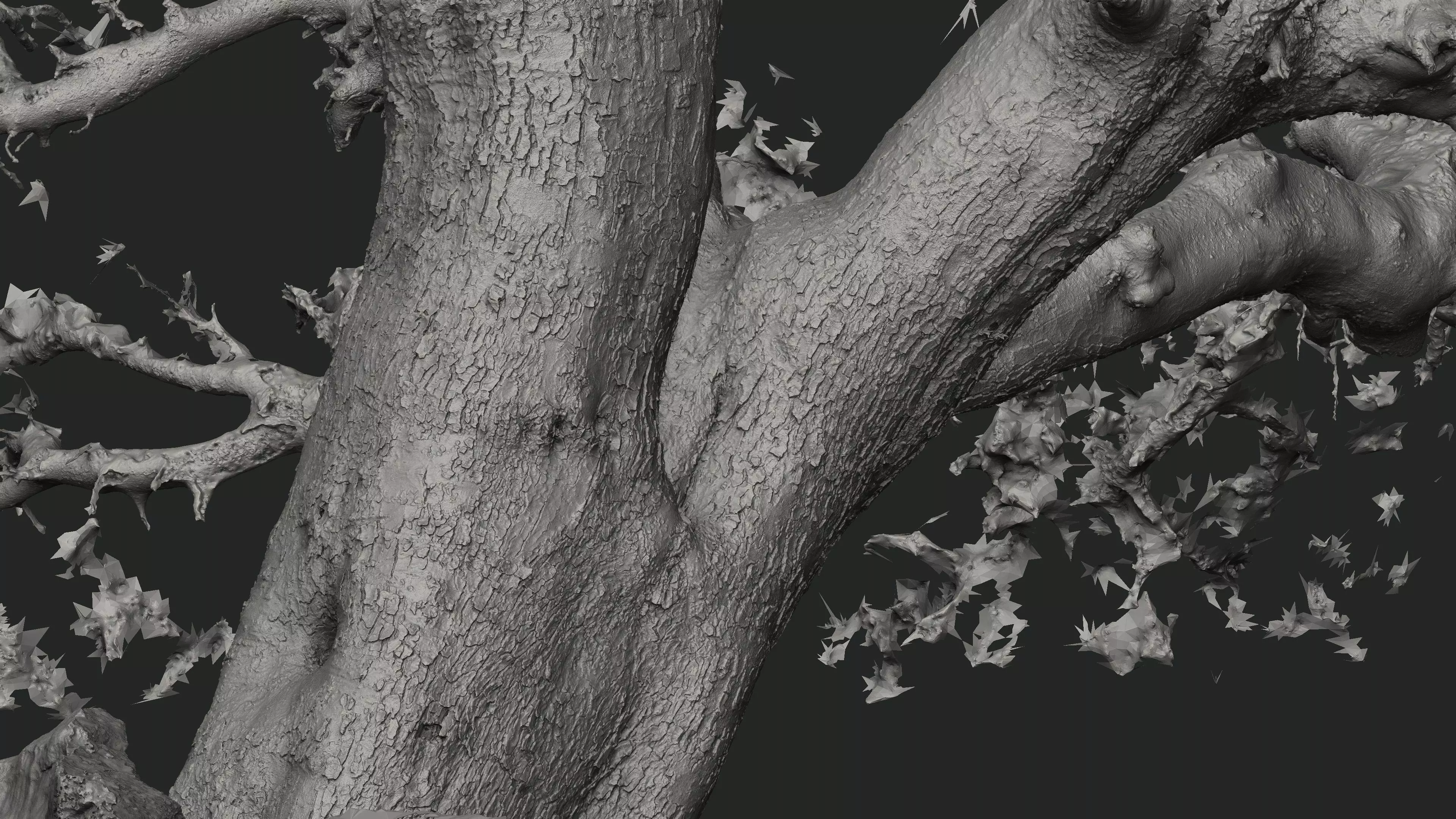 Abandoned Village Tree Trunk Scan - Tree 01 3D model_21