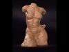 Female torso with a wet t-shirt Female torso with a wet dress 3D print model_1