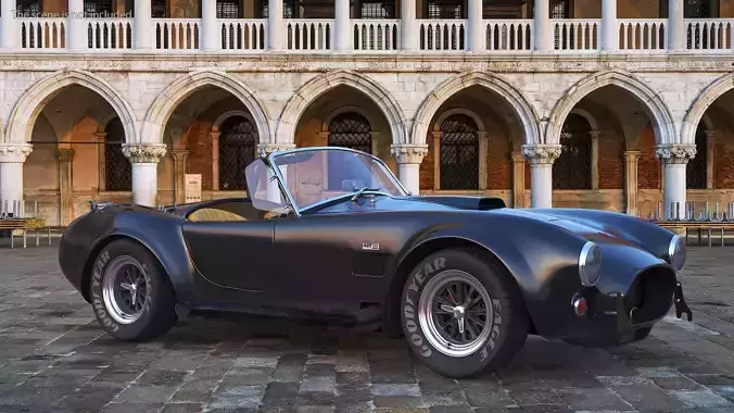 Racing Shelby Cobra 1965