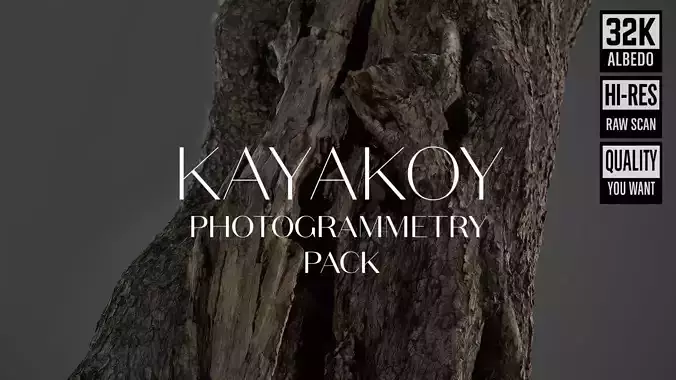 Abandoned Village Tree Trunk Scan - Tree 01