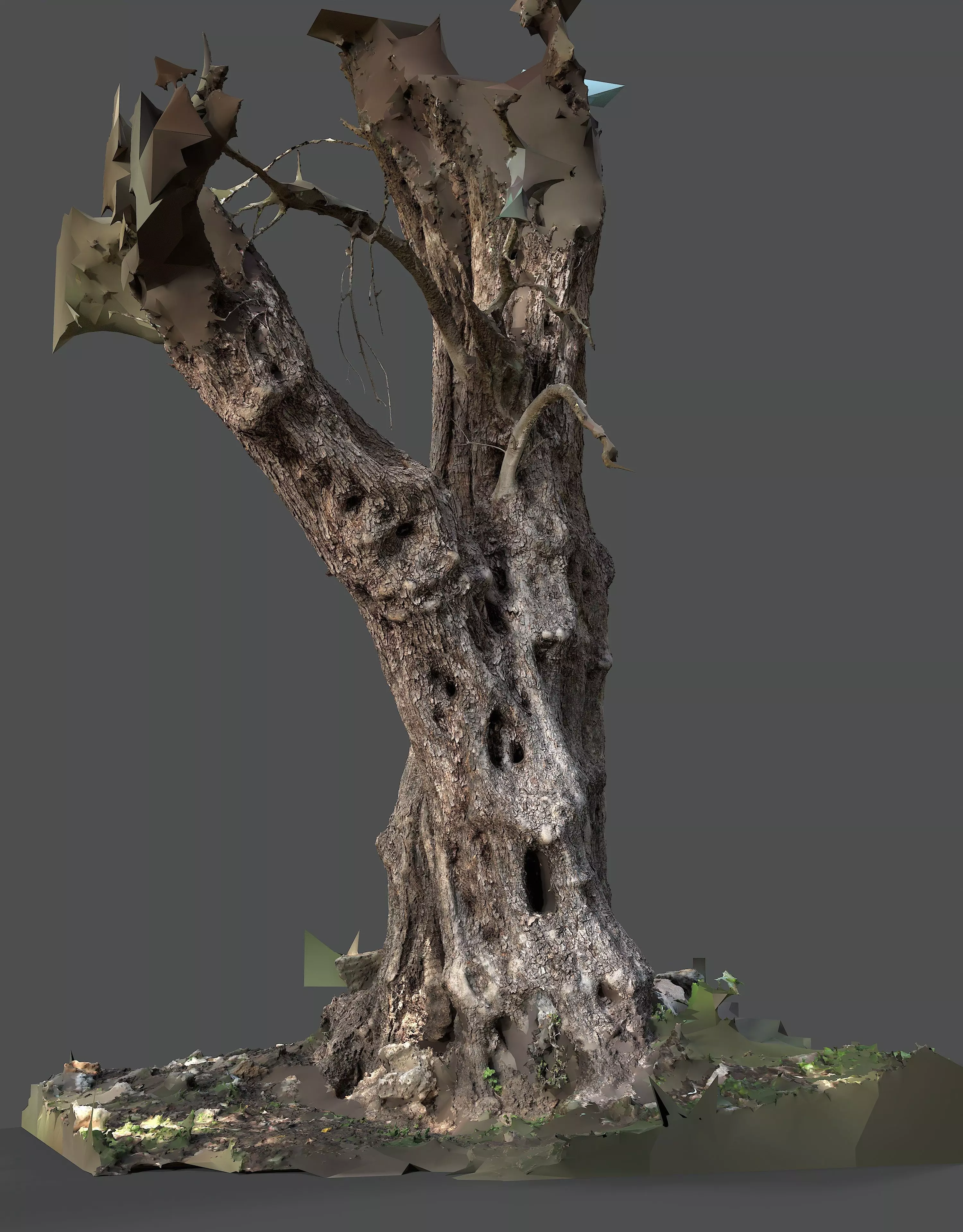 Abandoned Village Tree Trunk Scan - Tree 03 3D model_3