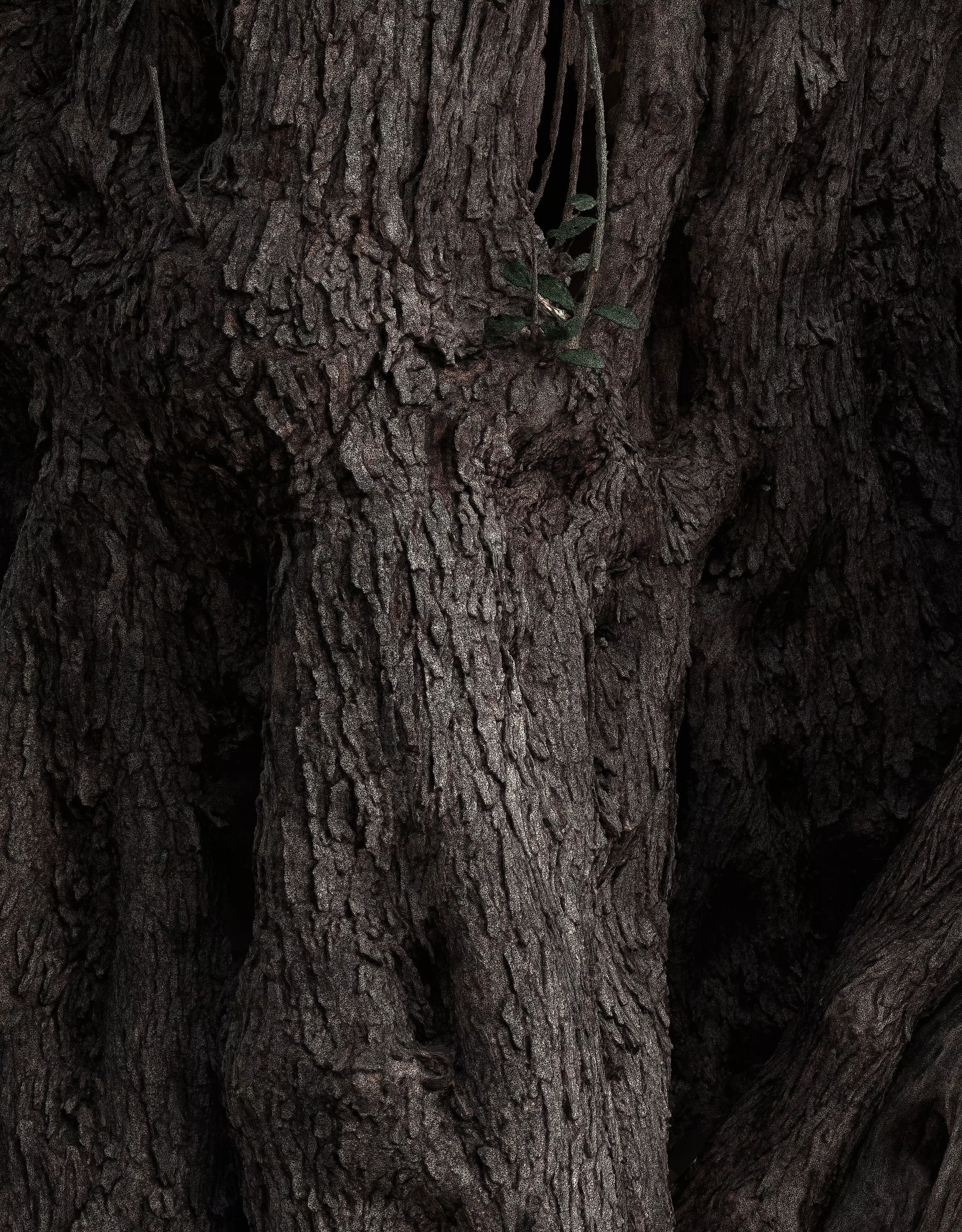 Abandoned Village Tree Trunk Scan - Tree 03 3D model_18