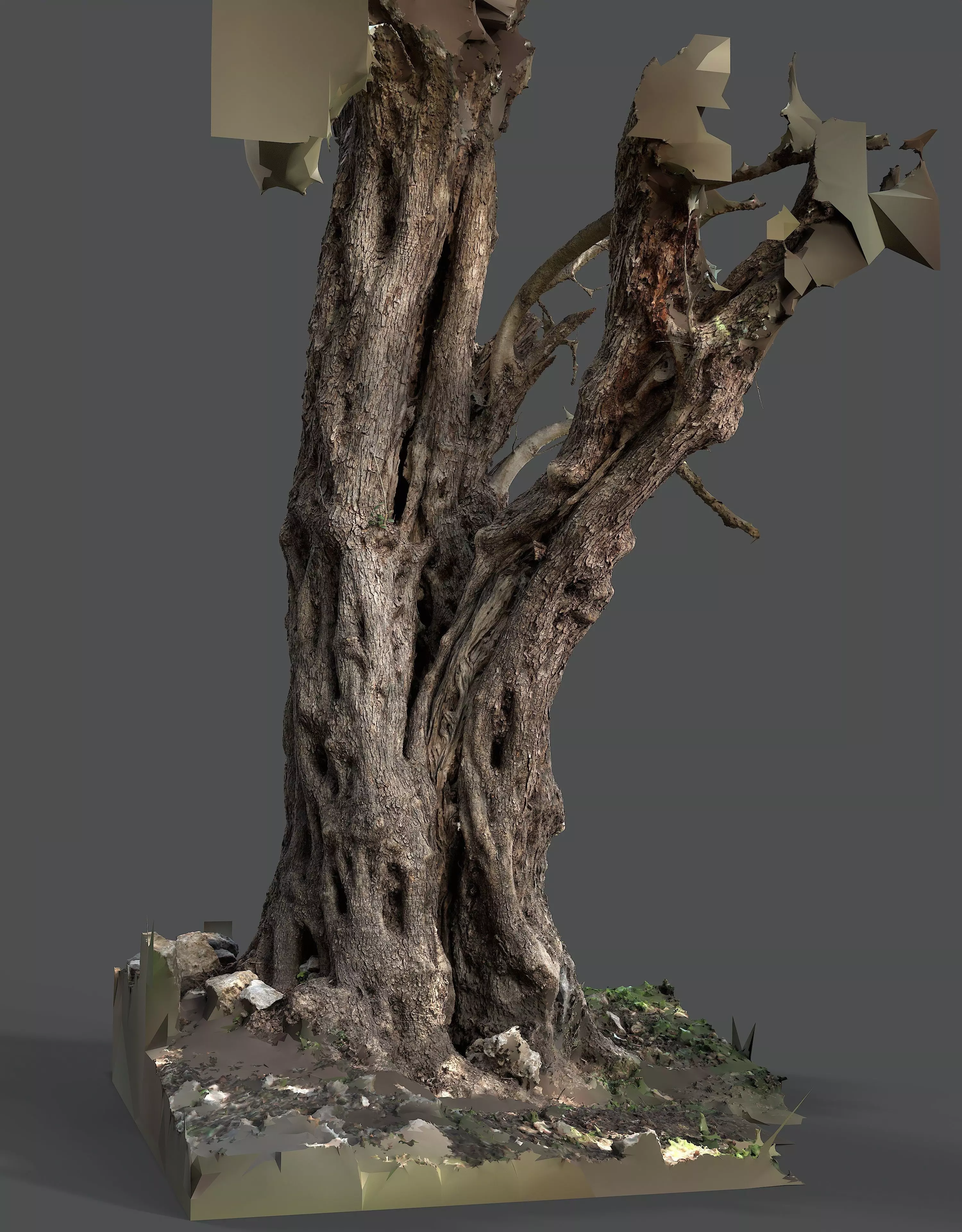 Abandoned Village Tree Trunk Scan - Tree 03 3D model_2
