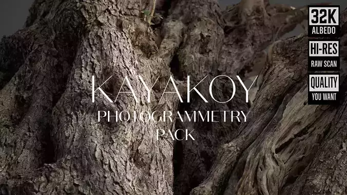 Abandoned Village Tree Trunk Scan - Tree 03