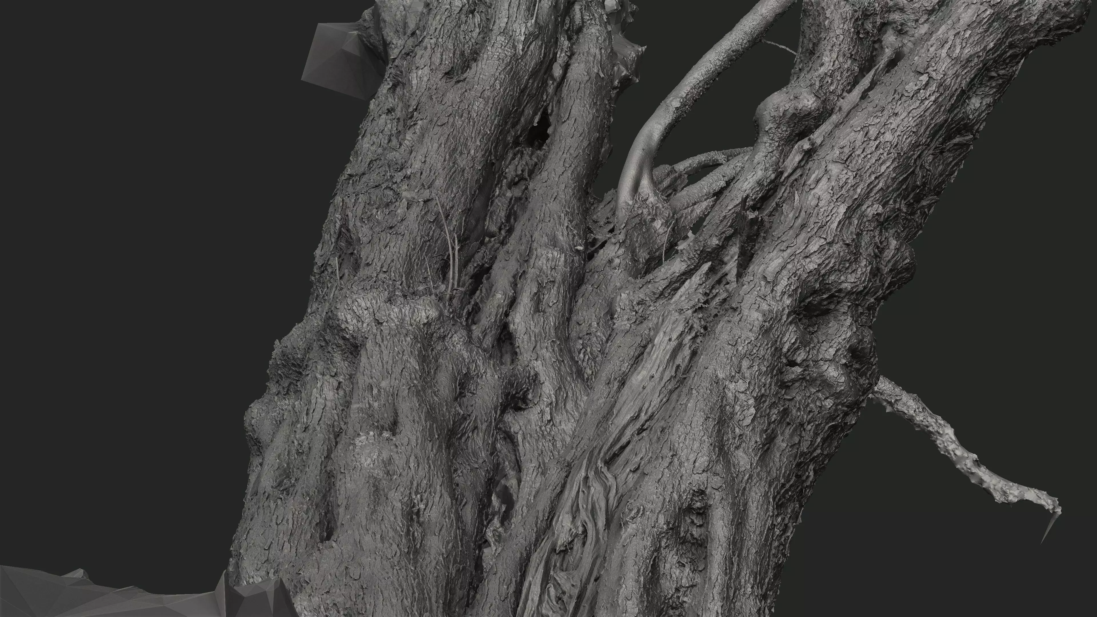Abandoned Village Tree Trunk Scan - Tree 03 3D model_21