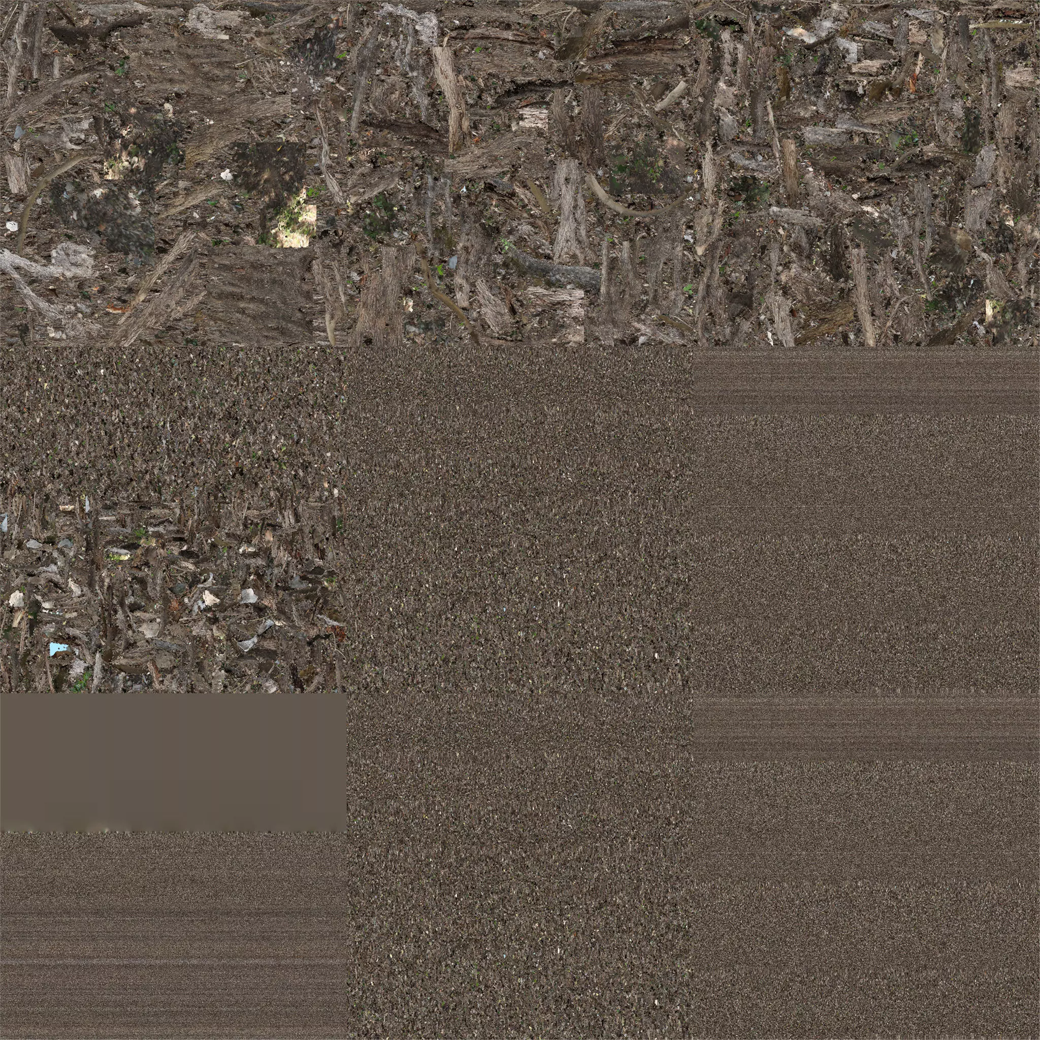 Abandoned Village Tree Trunk Scan - Tree 03 3D model_24