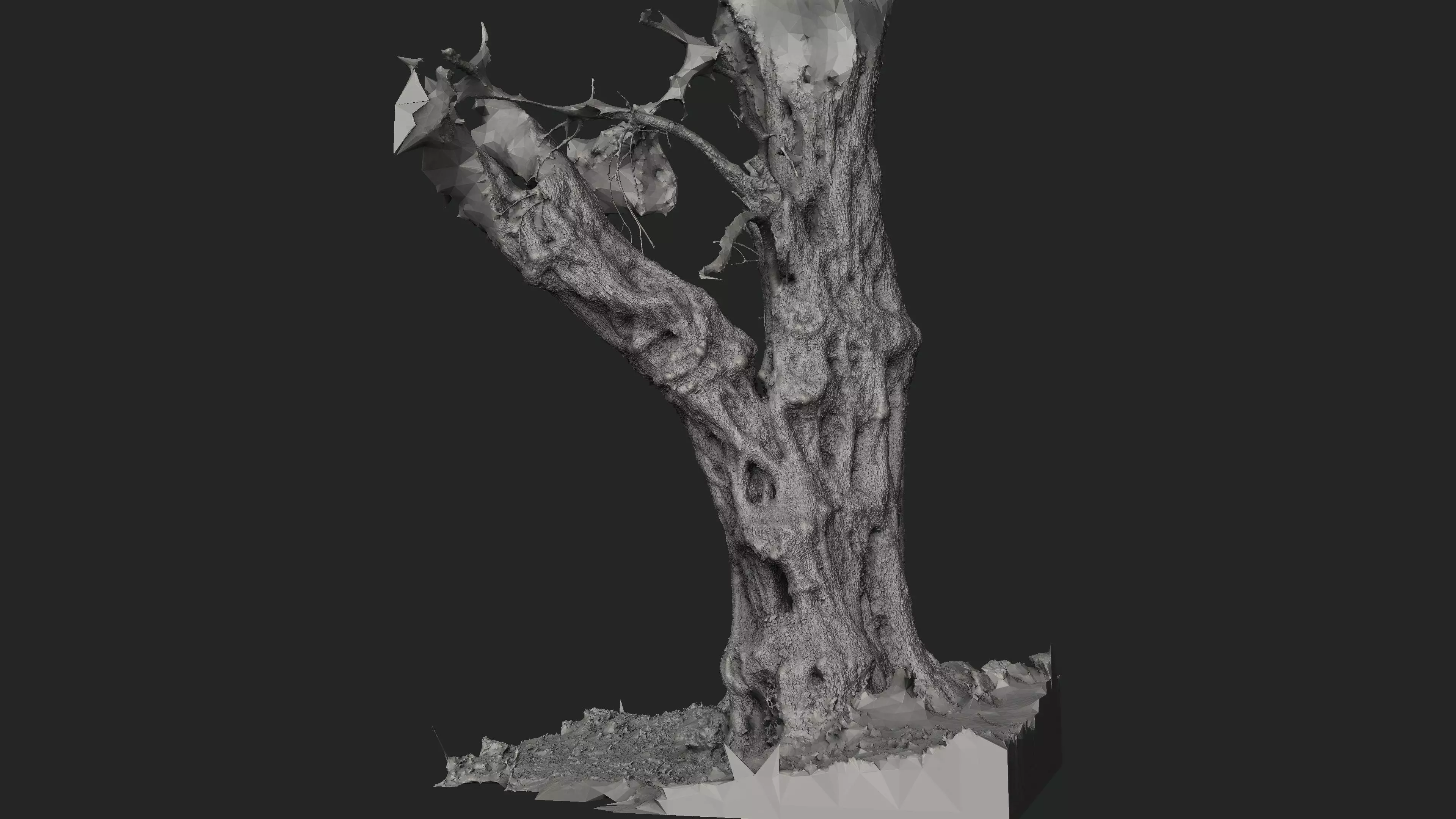 Abandoned Village Tree Trunk Scan - Tree 03 3D model_19