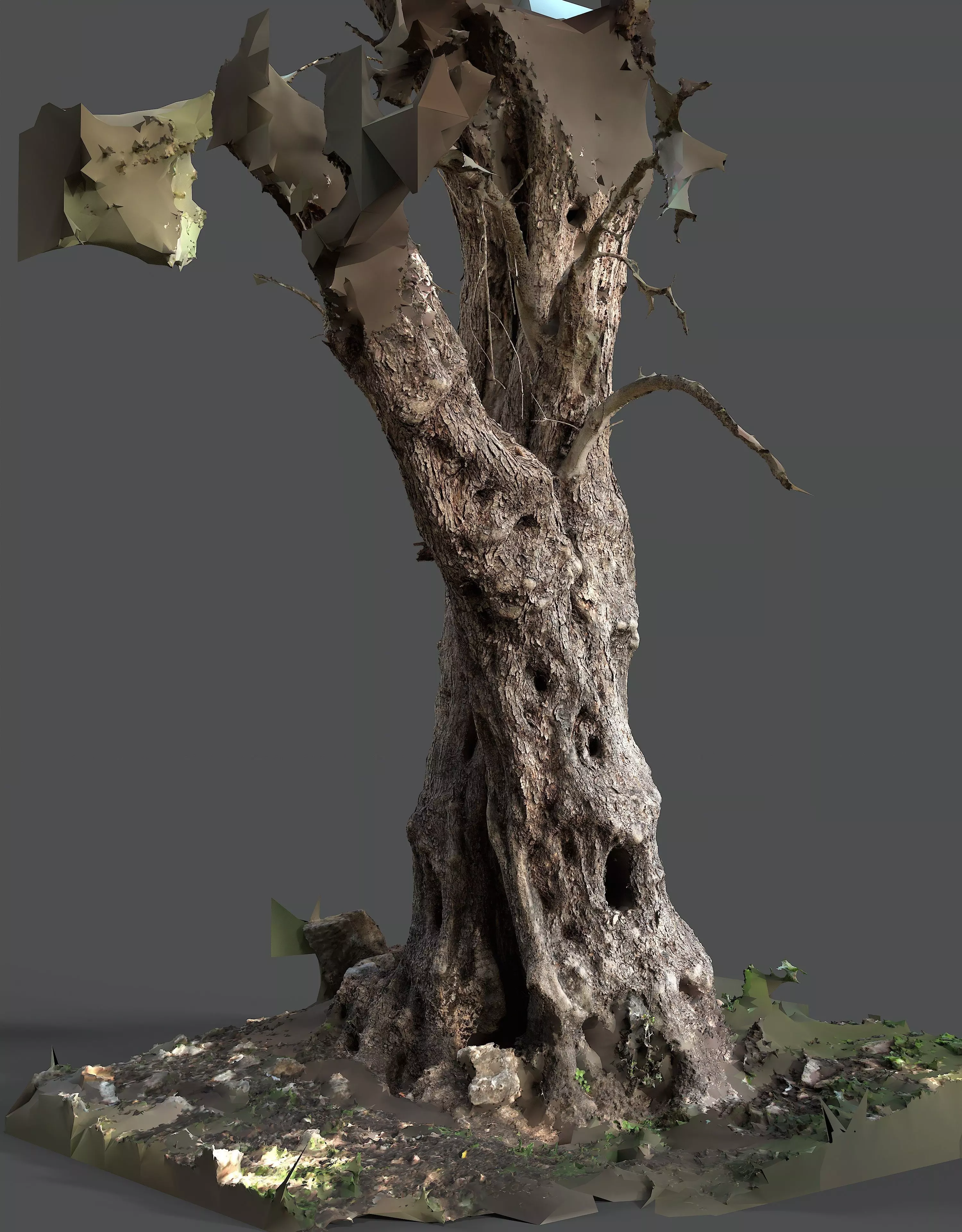 Abandoned Village Tree Trunk Scan - Tree 03 3D model_15