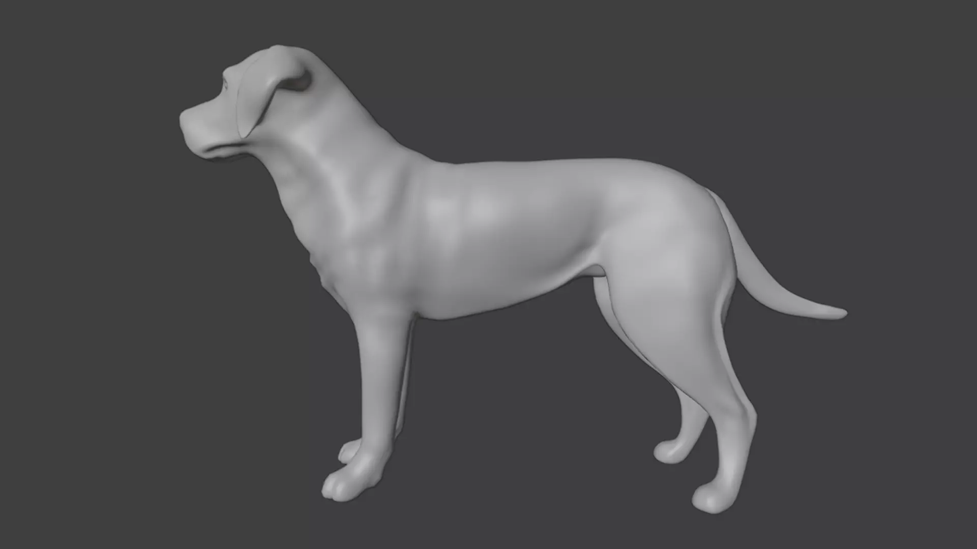 Realistic Labrador Retriever Low-poly 3D model_7