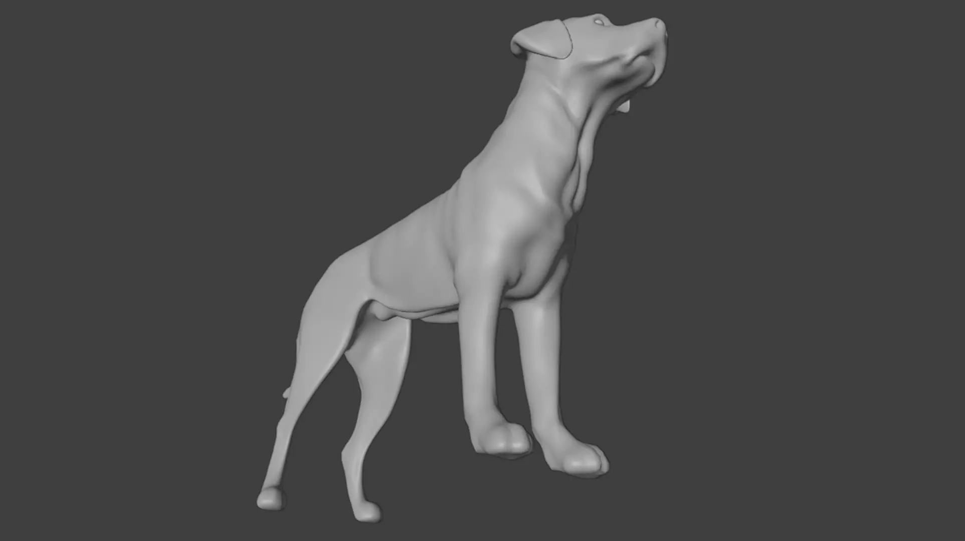 Realistic Labrador Retriever Low-poly 3D model_9