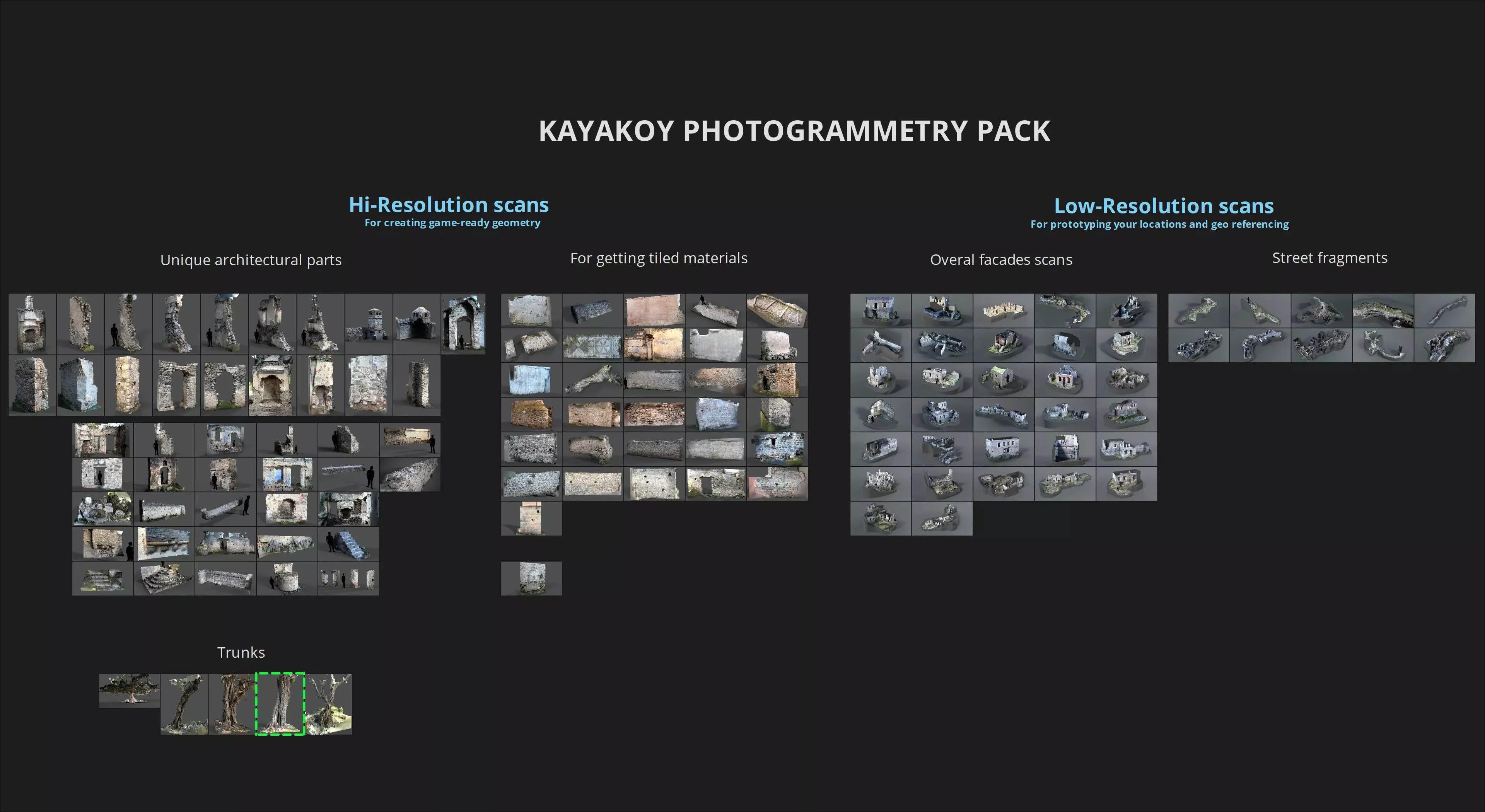 Abandoned Village Tree Trunk Scan - Tree 01 3D model_25