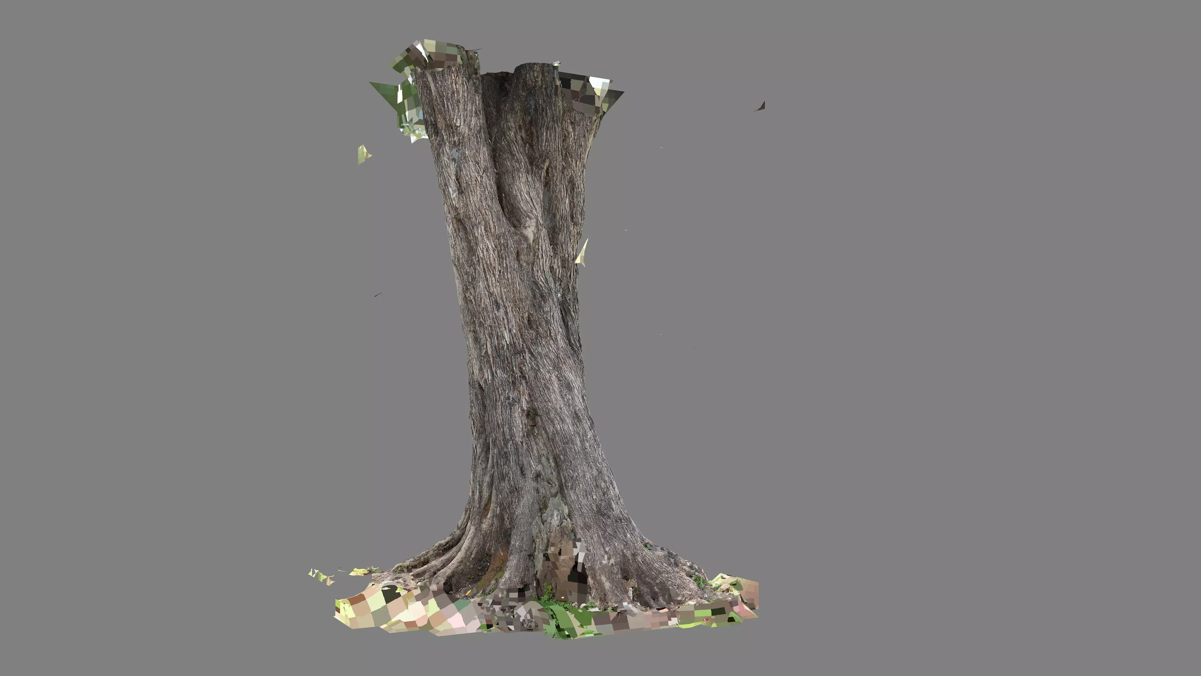 Abandoned Village Tree Trunk Scan - Tree 01 3D model_22