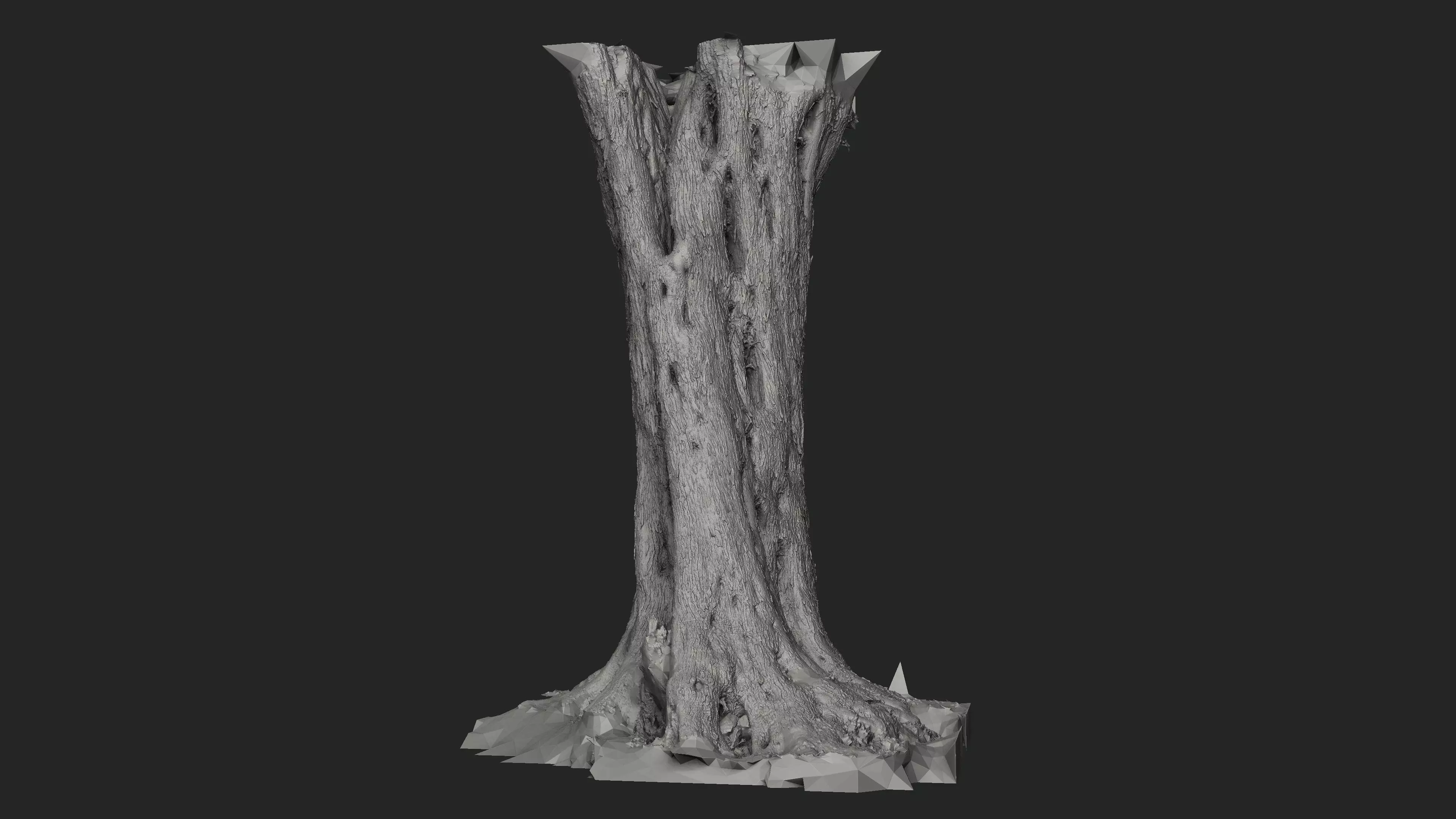 Abandoned Village Tree Trunk Scan - Tree 01 3D model_19