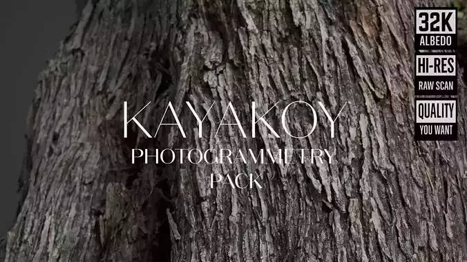 Abandoned Village Tree Trunk Scan - Tree 01