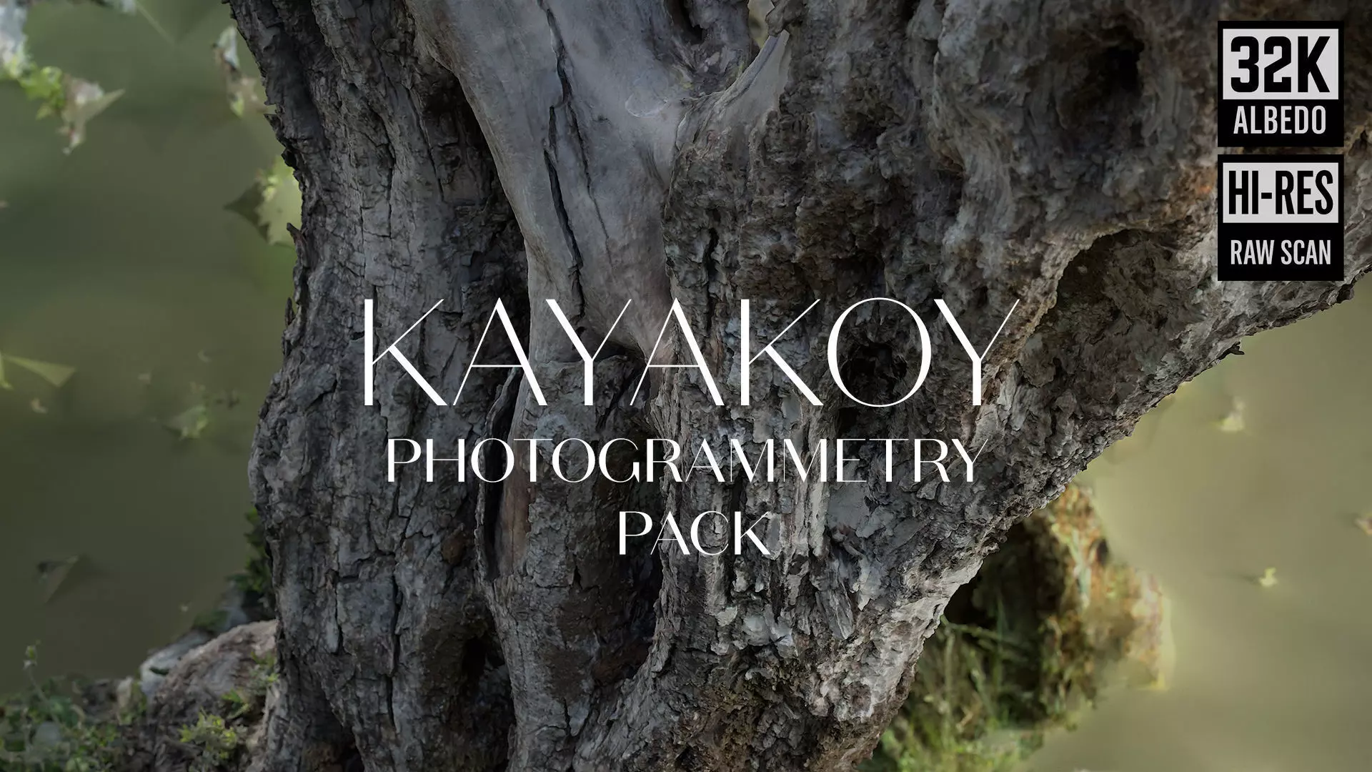 Abandoned Village Tree Trunk Scan - Tree 05 3D model_0