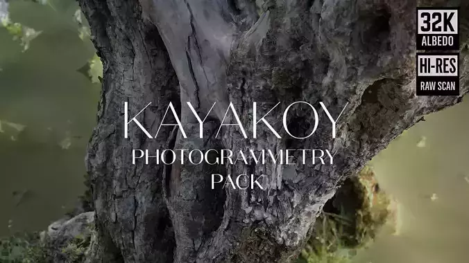 Abandoned Village Tree Trunk Scan - Tree 05