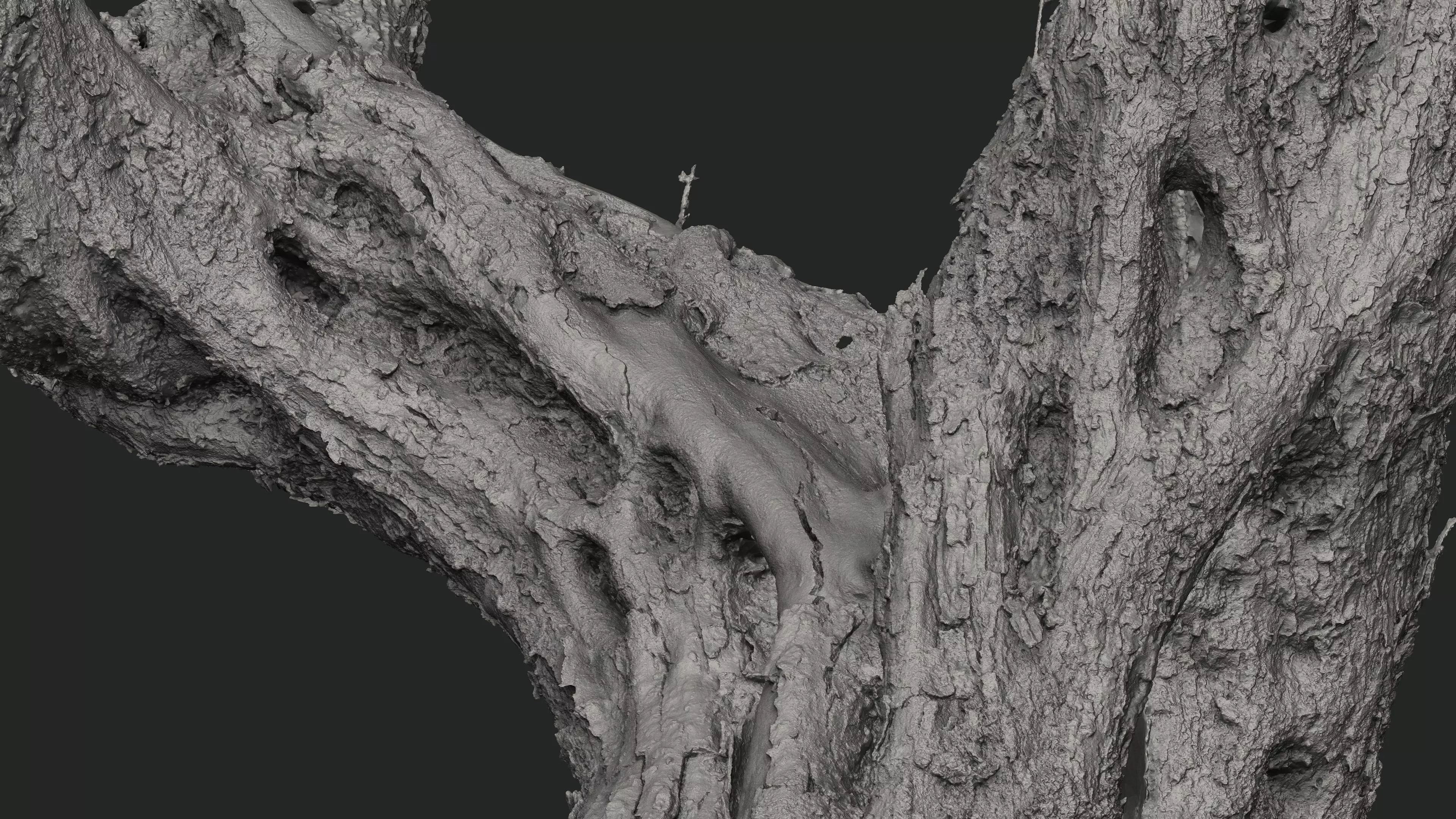 Abandoned Village Tree Trunk Scan - Tree 05 3D model_21