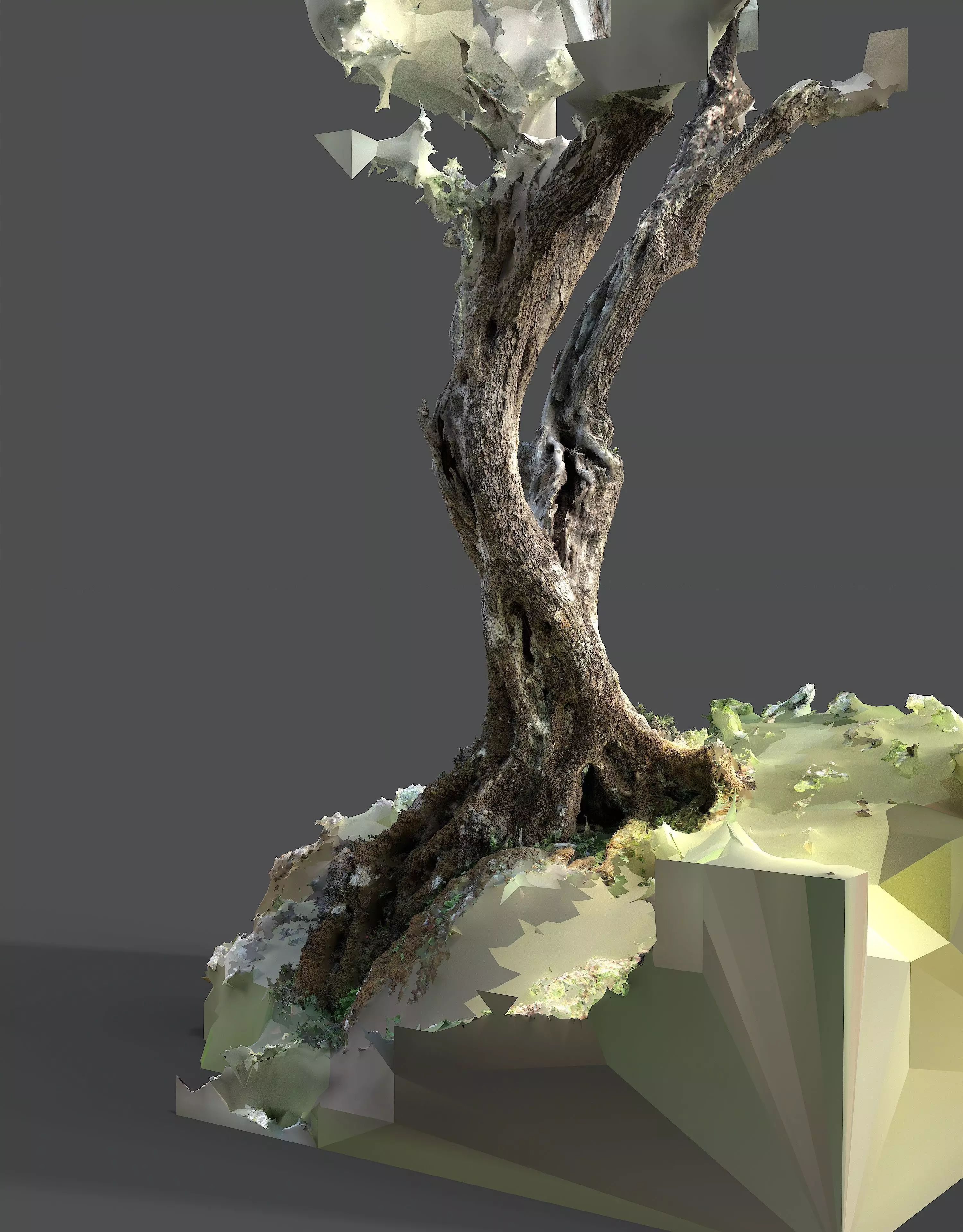 Abandoned Village Tree Trunk Scan - Tree 05 3D model_15