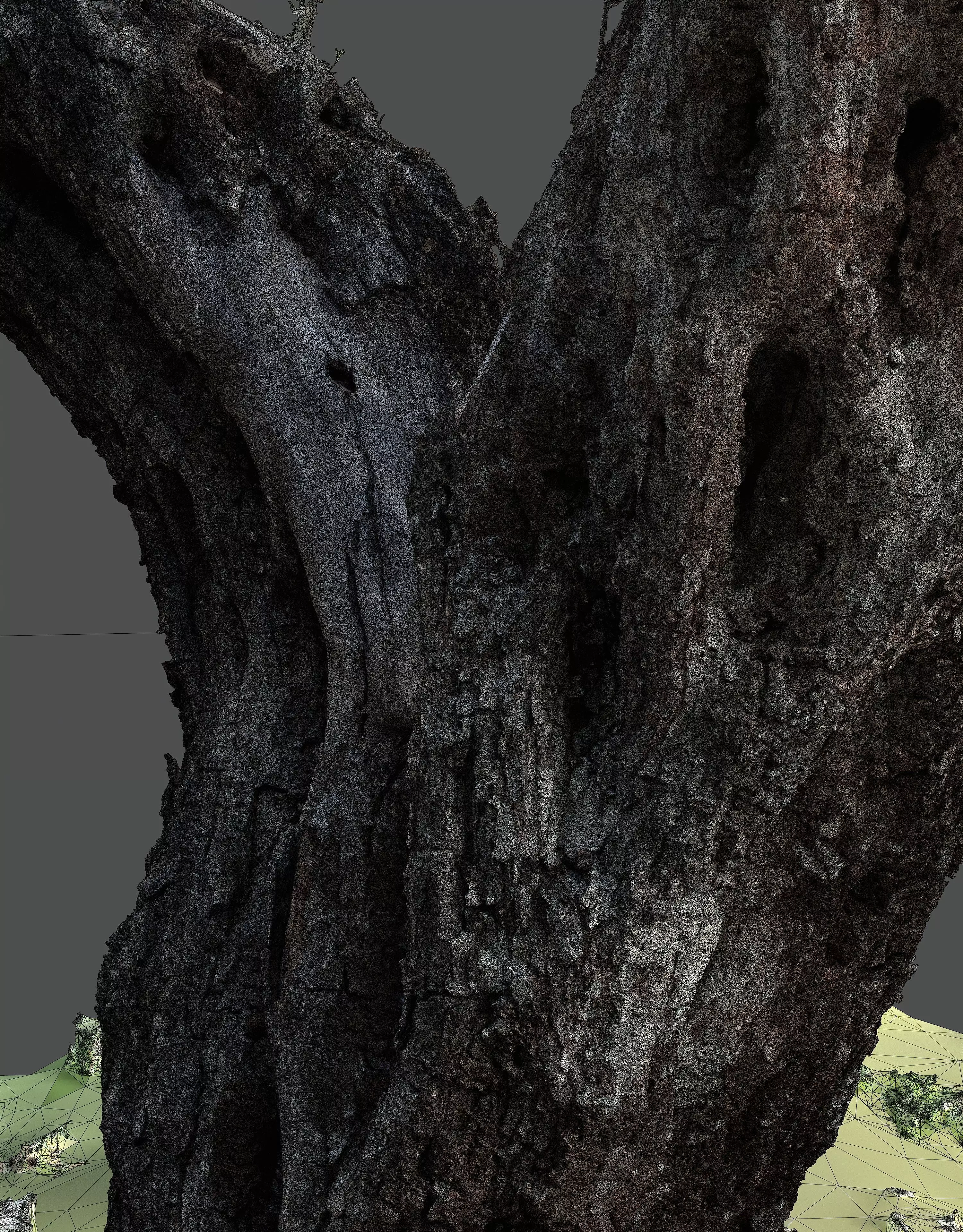 Abandoned Village Tree Trunk Scan - Tree 05 3D model_18