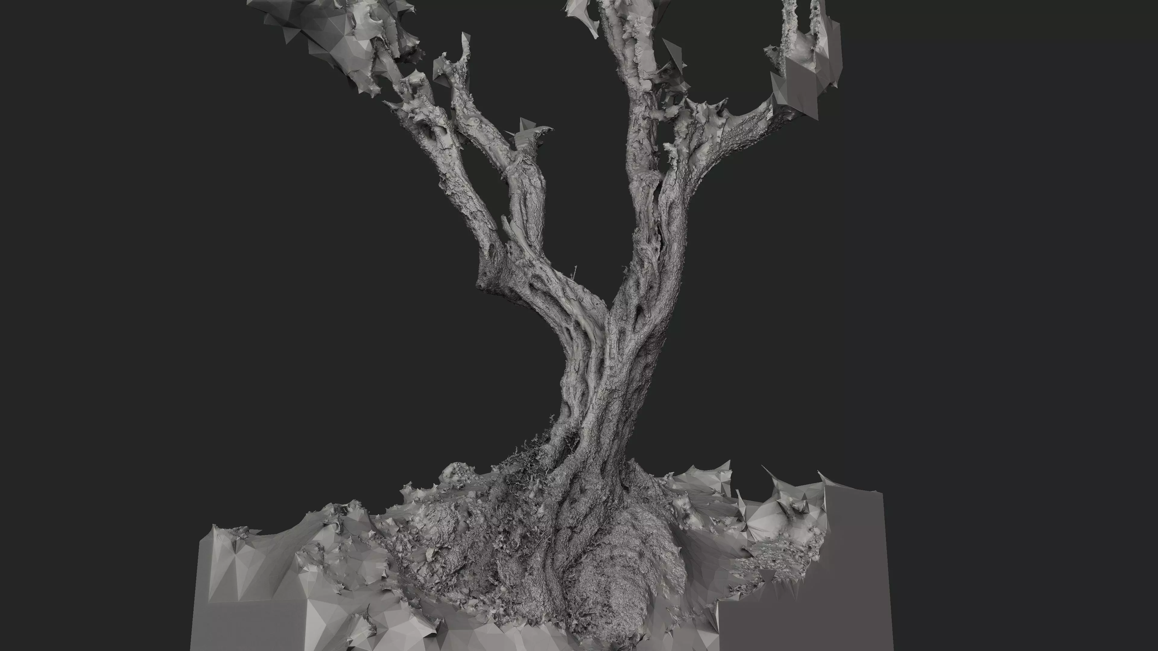 Abandoned Village Tree Trunk Scan - Tree 05 3D model_19