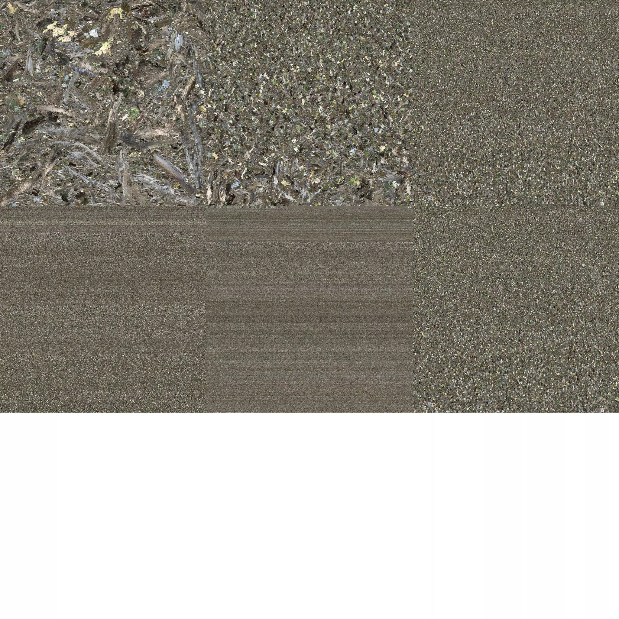 Abandoned Village Tree Trunk Scan - Tree 05 3D model_22