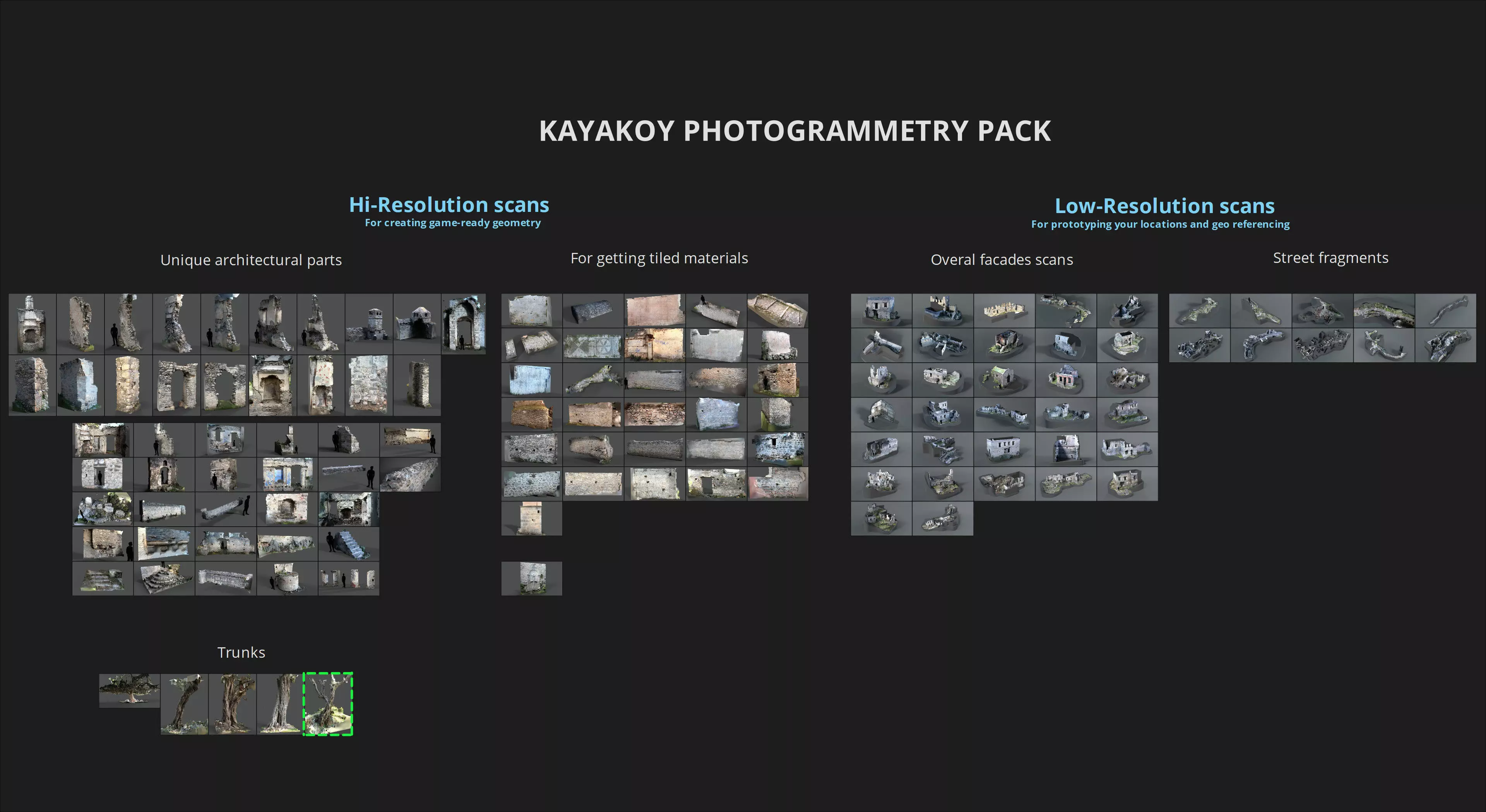 Abandoned Village Tree Trunk Scan - Tree 05 3D model_23