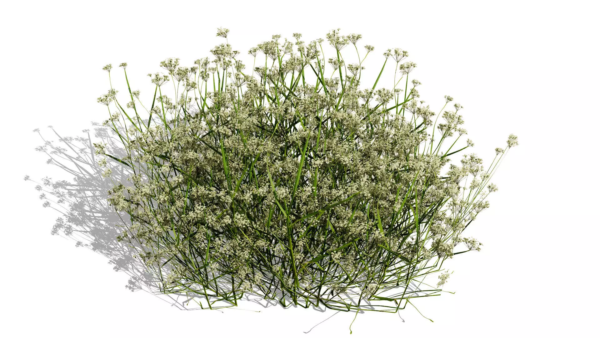 Moroccan Spice Garden 3D Plant Collection Low-poly 3D model_2