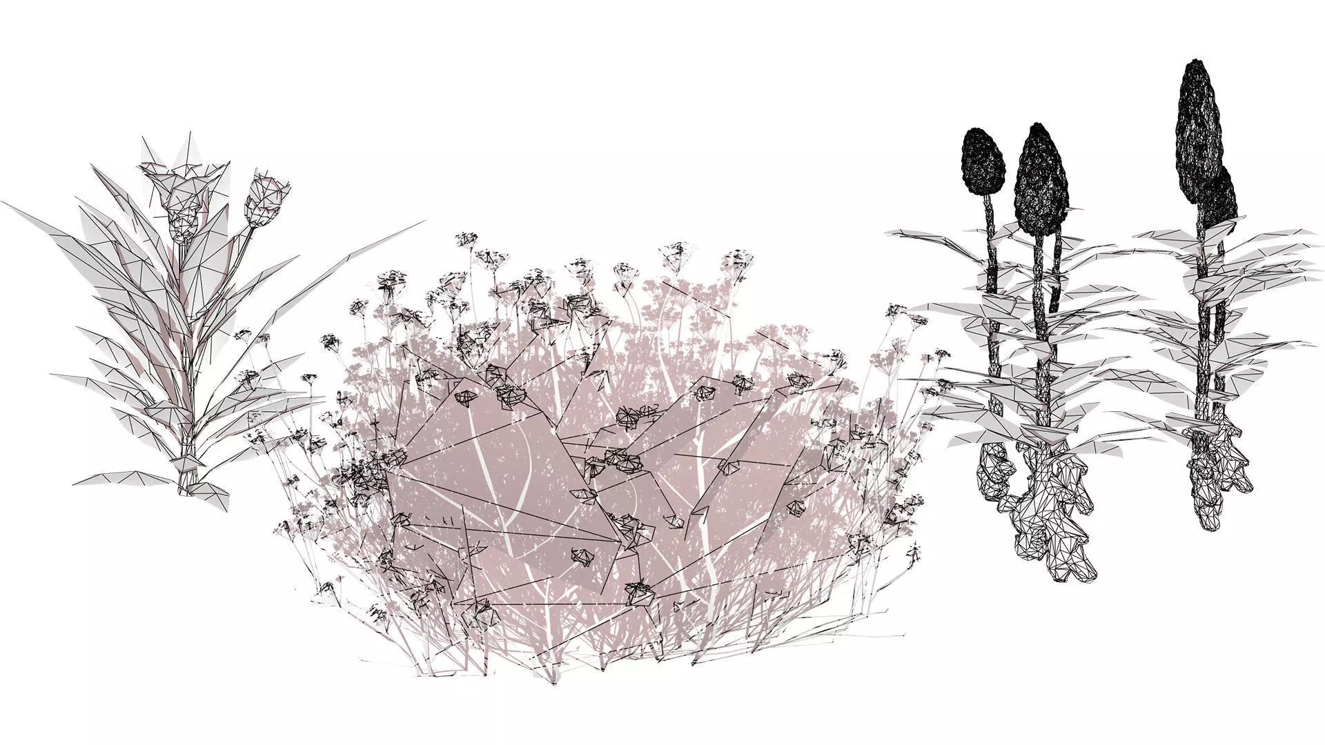 Moroccan Spice Garden 3D Plant Collection Low-poly 3D model_11