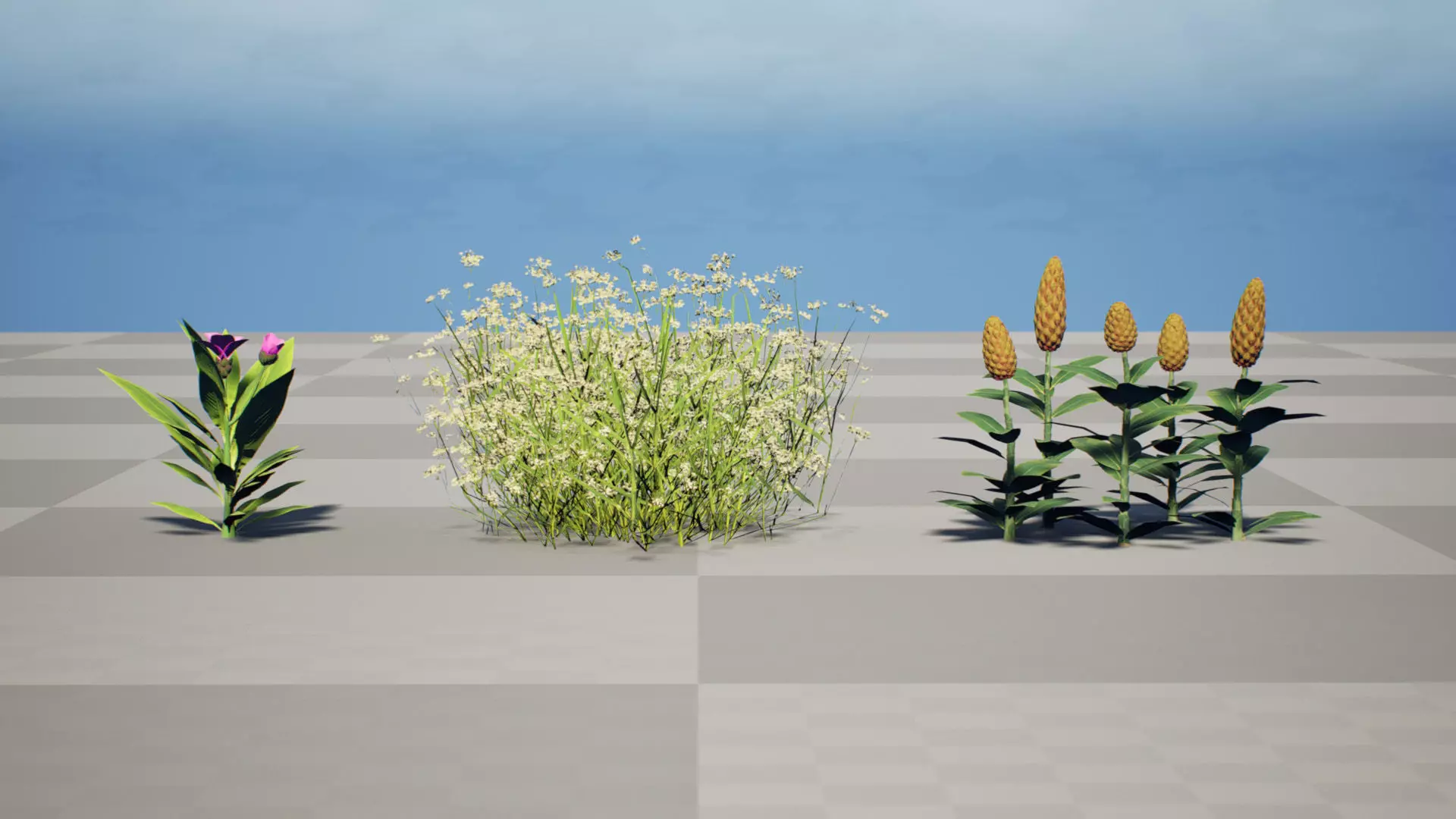 Moroccan Spice Garden 3D Plant Collection Low-poly 3D model_9