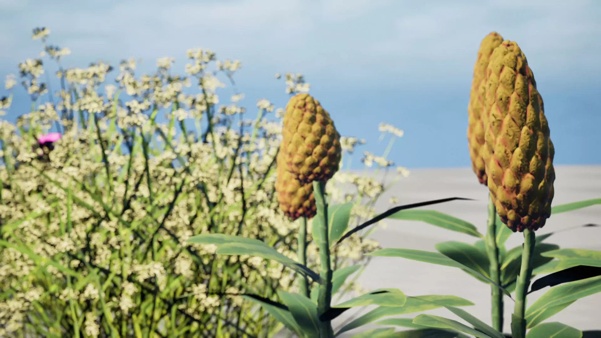 Moroccan Spice Garden 3D Plant Collection Low-poly 3D model_10