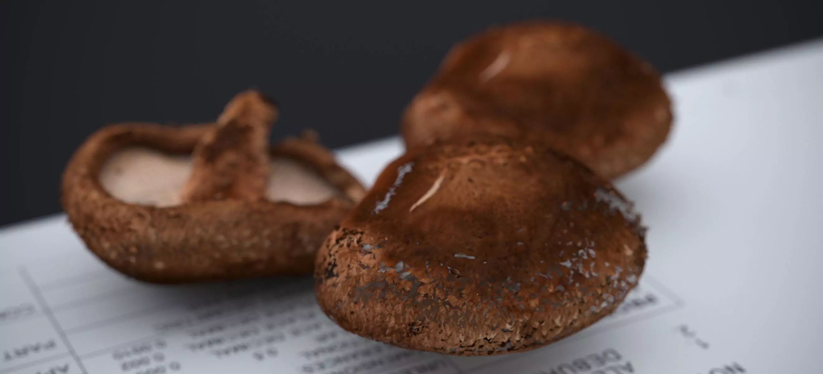 SHITAKE MUSHROOM 2024 3D model_5