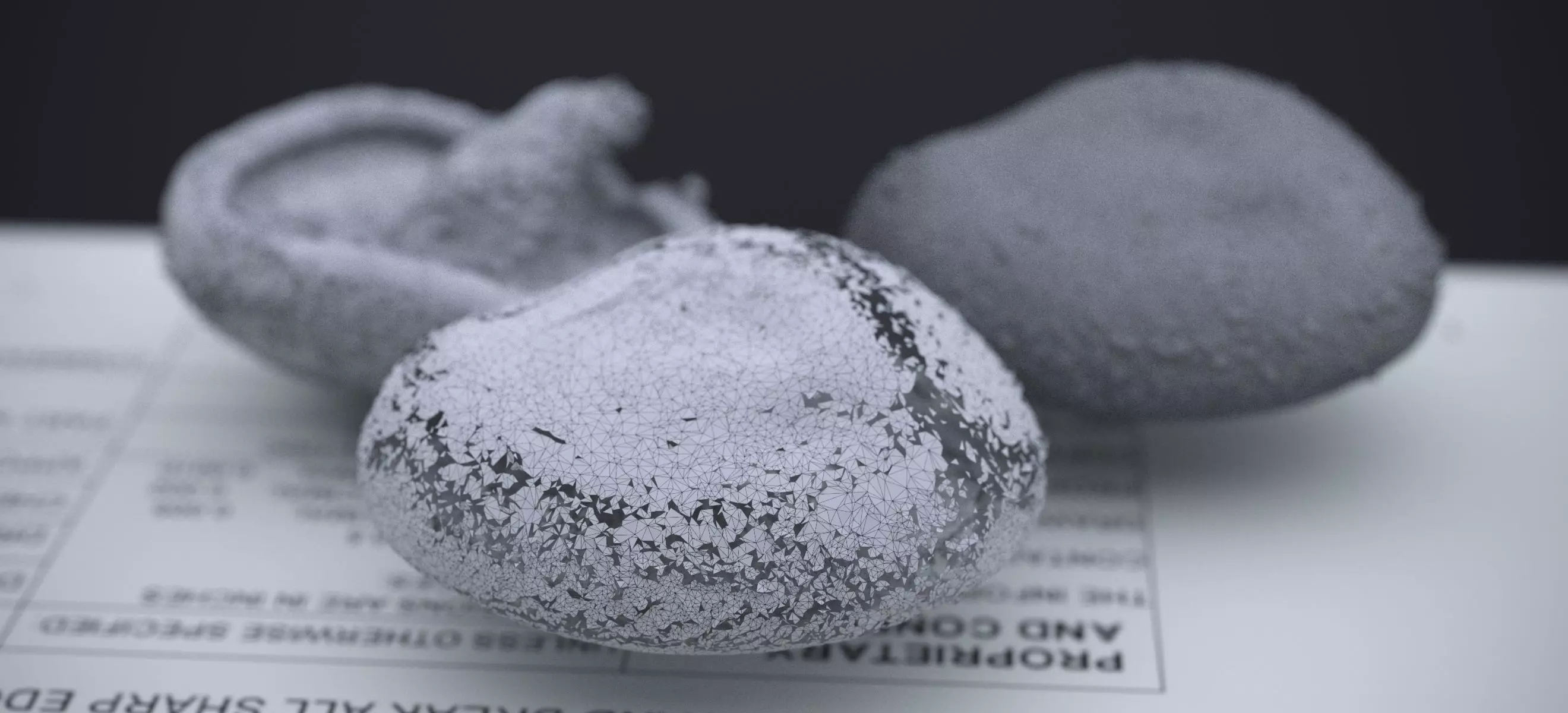 SHITAKE MUSHROOM 2024 3D model_19