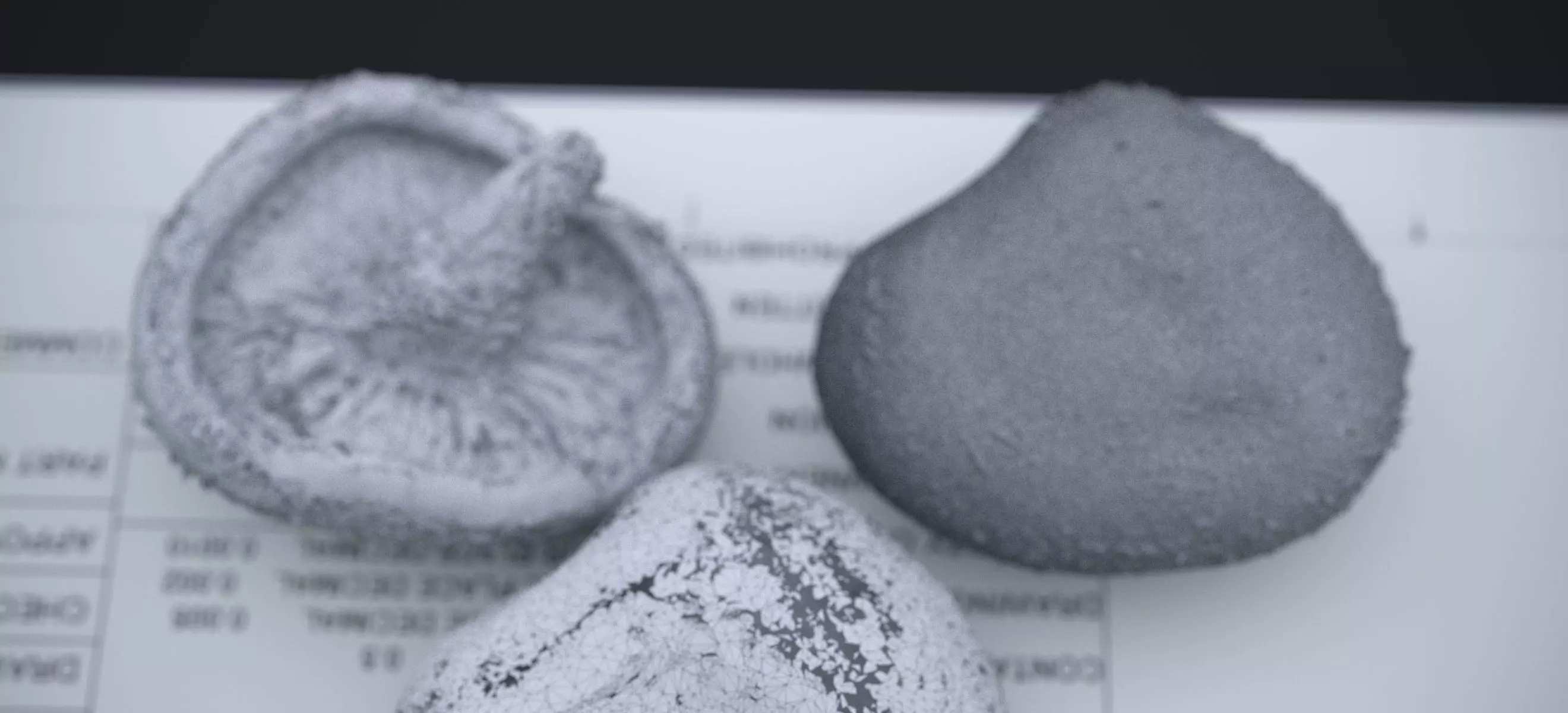 SHITAKE MUSHROOM 2024 3D model_24