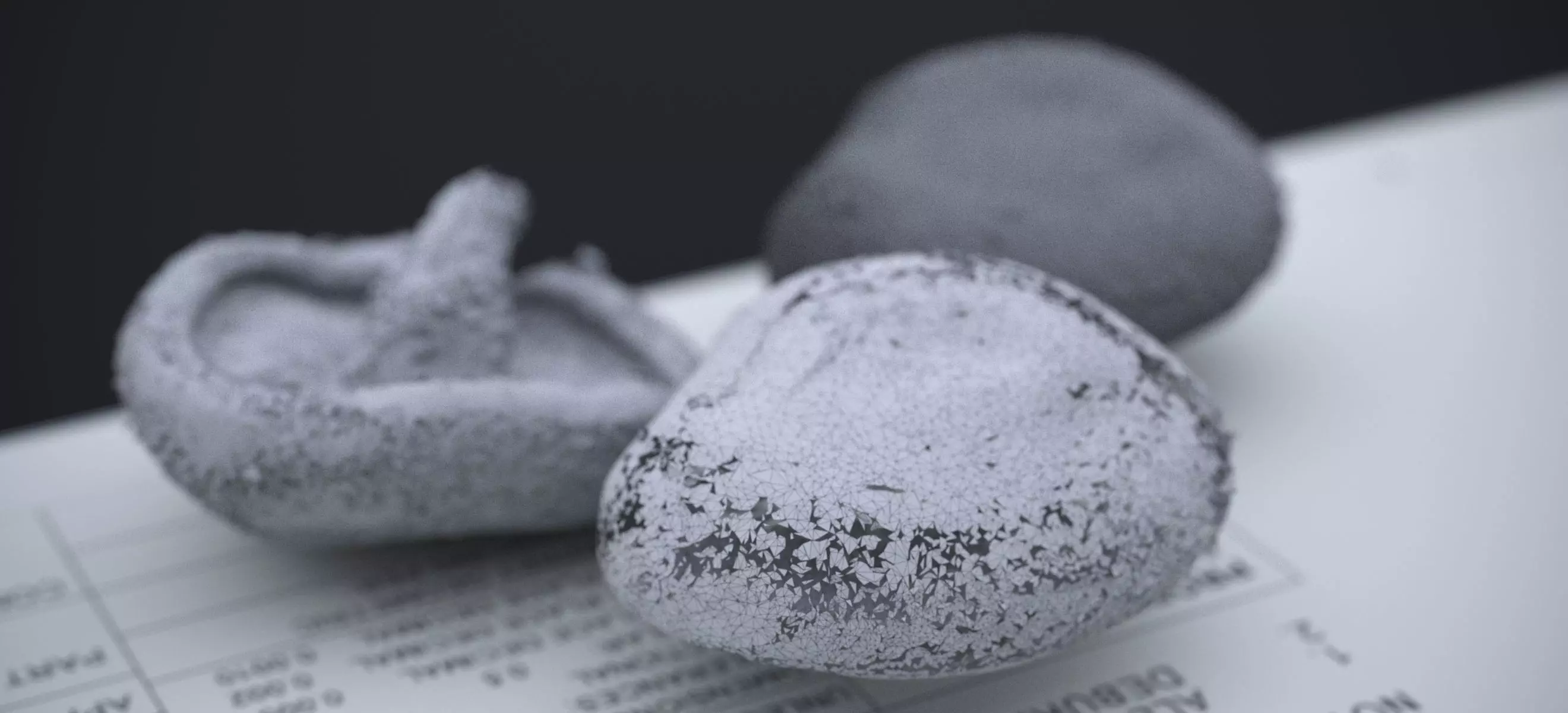 SHITAKE MUSHROOM 2024 3D model_18