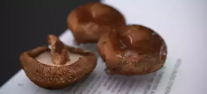 SHITAKE MUSHROOM 2024 3D model 5