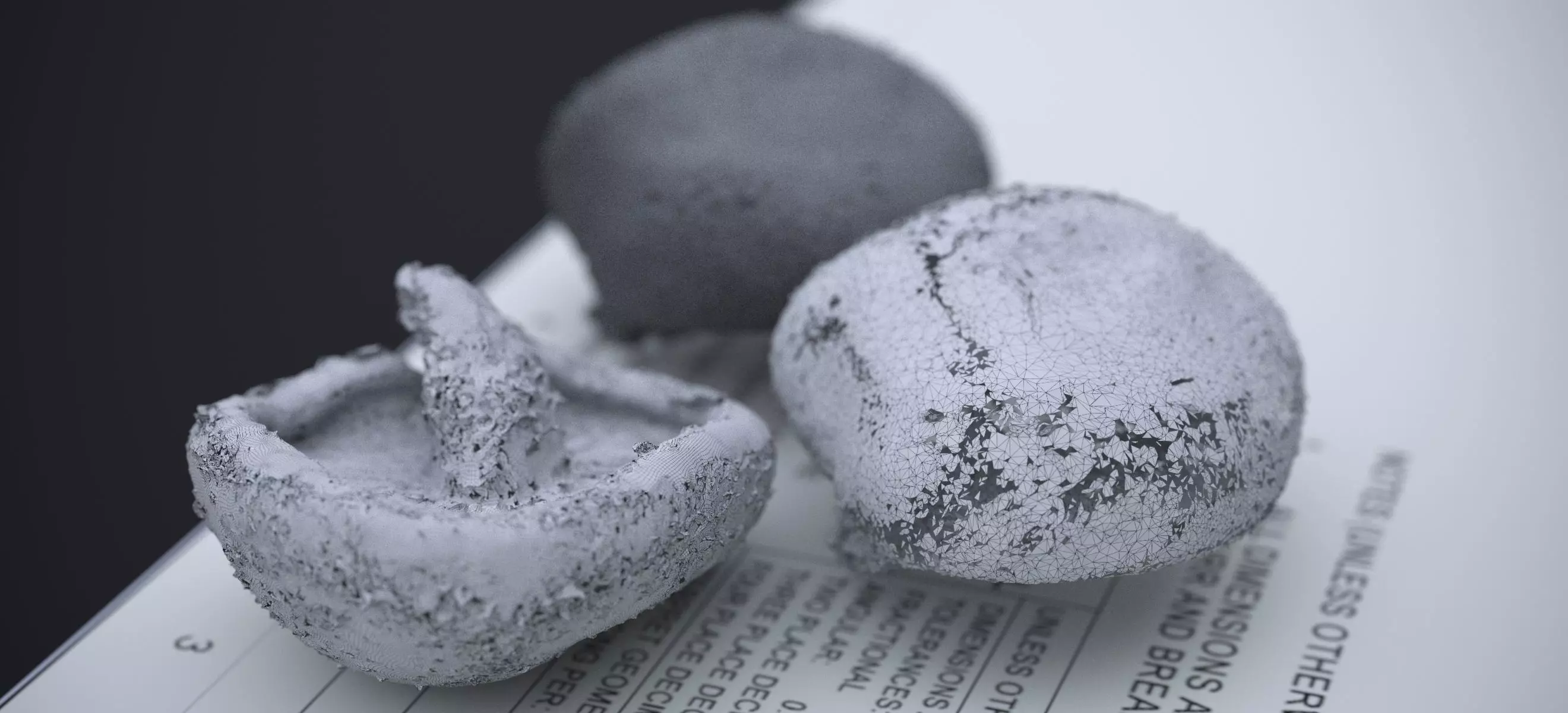 SHITAKE MUSHROOM 2024 3D model_17