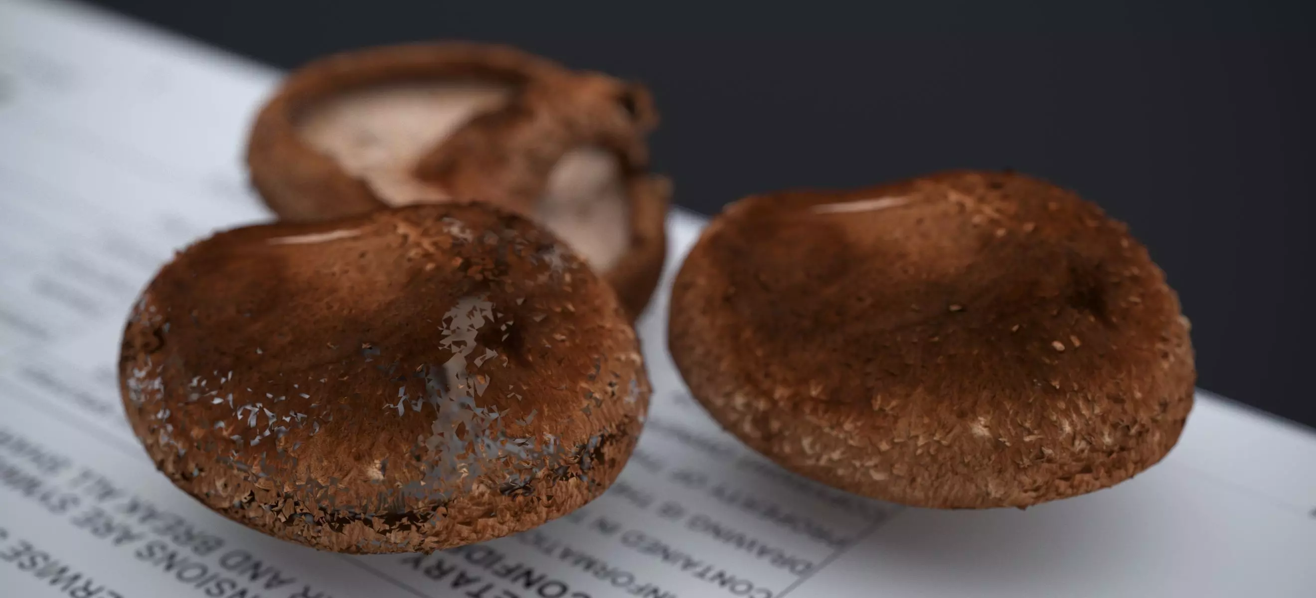 SHITAKE MUSHROOM 2024 3D model_7